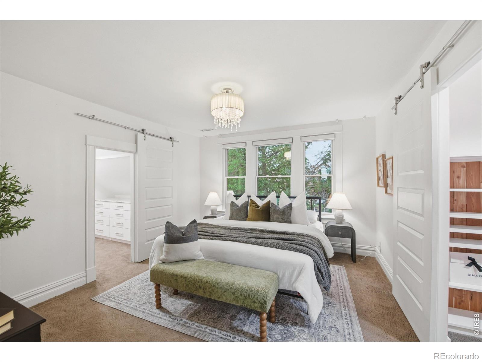 MLS Image #24 for 4276  green court,denver, Colorado