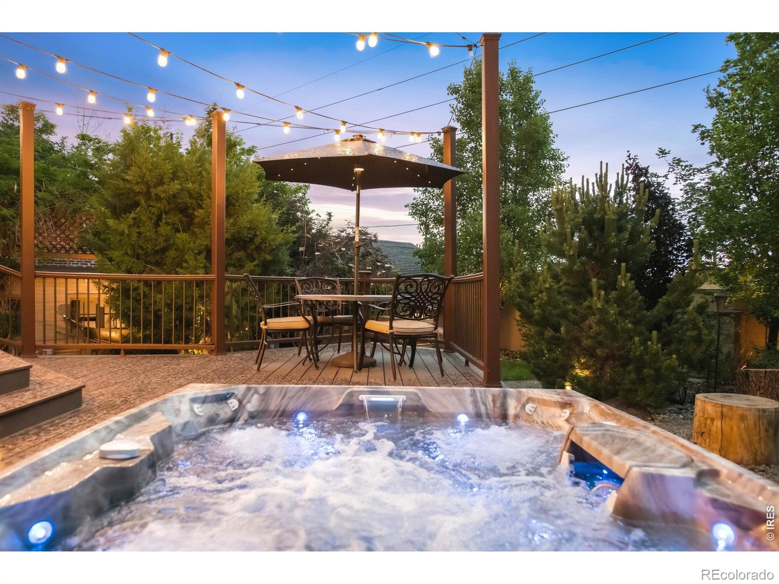 MLS Image #46 for 4276  green court,denver, Colorado