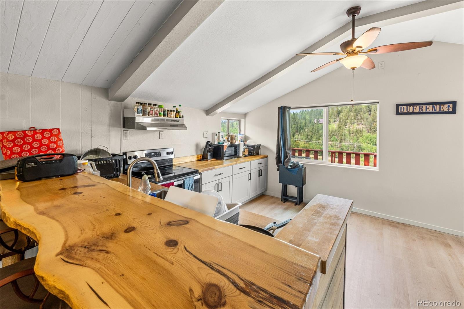 MLS Image #24 for 203  strongbox court,jefferson, Colorado