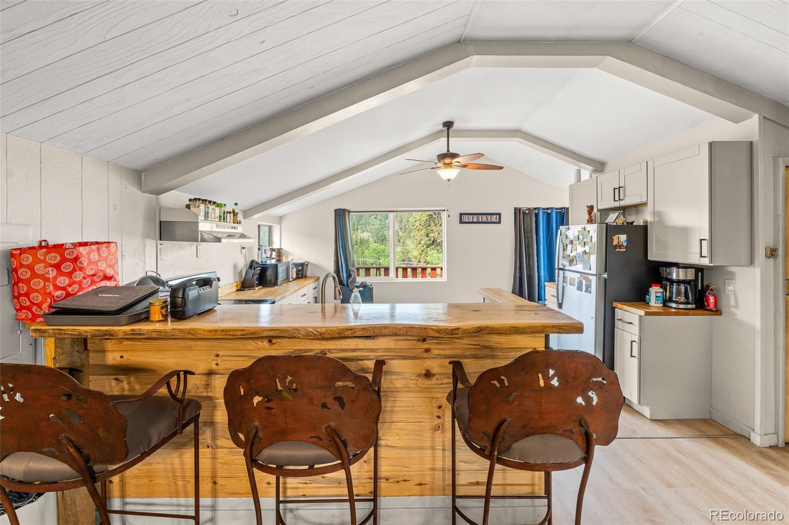 MLS Image #25 for 203  strongbox court,jefferson, Colorado