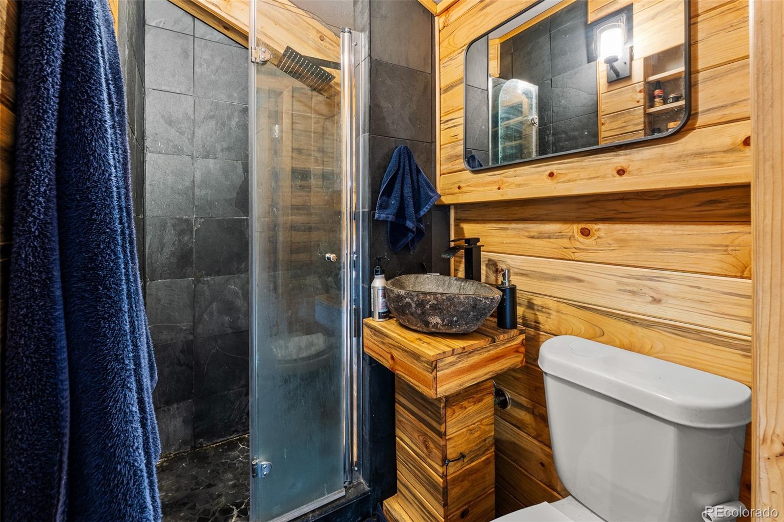 MLS Image #30 for 203  strongbox court,jefferson, Colorado