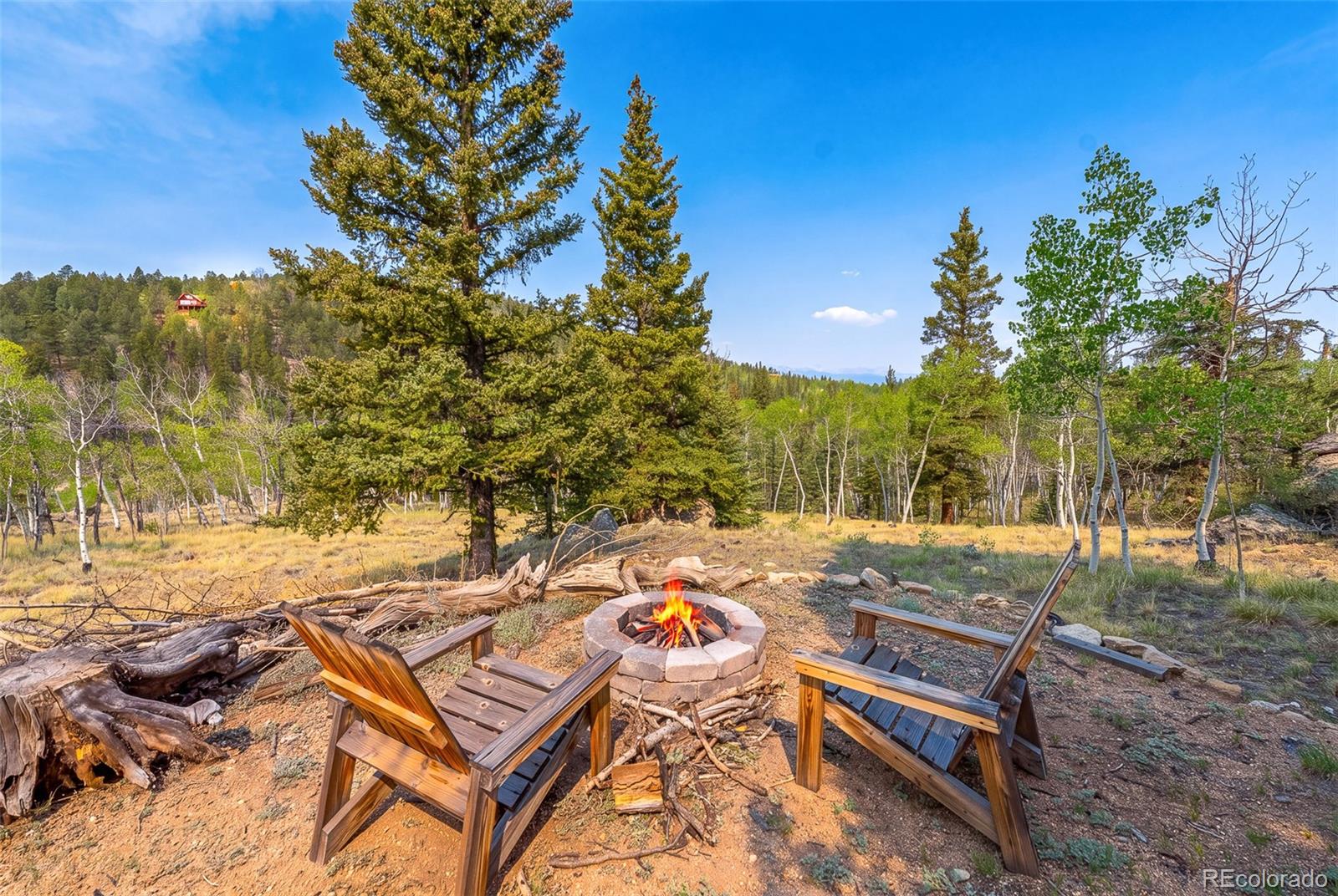 MLS Image #4 for 203  strongbox court,jefferson, Colorado
