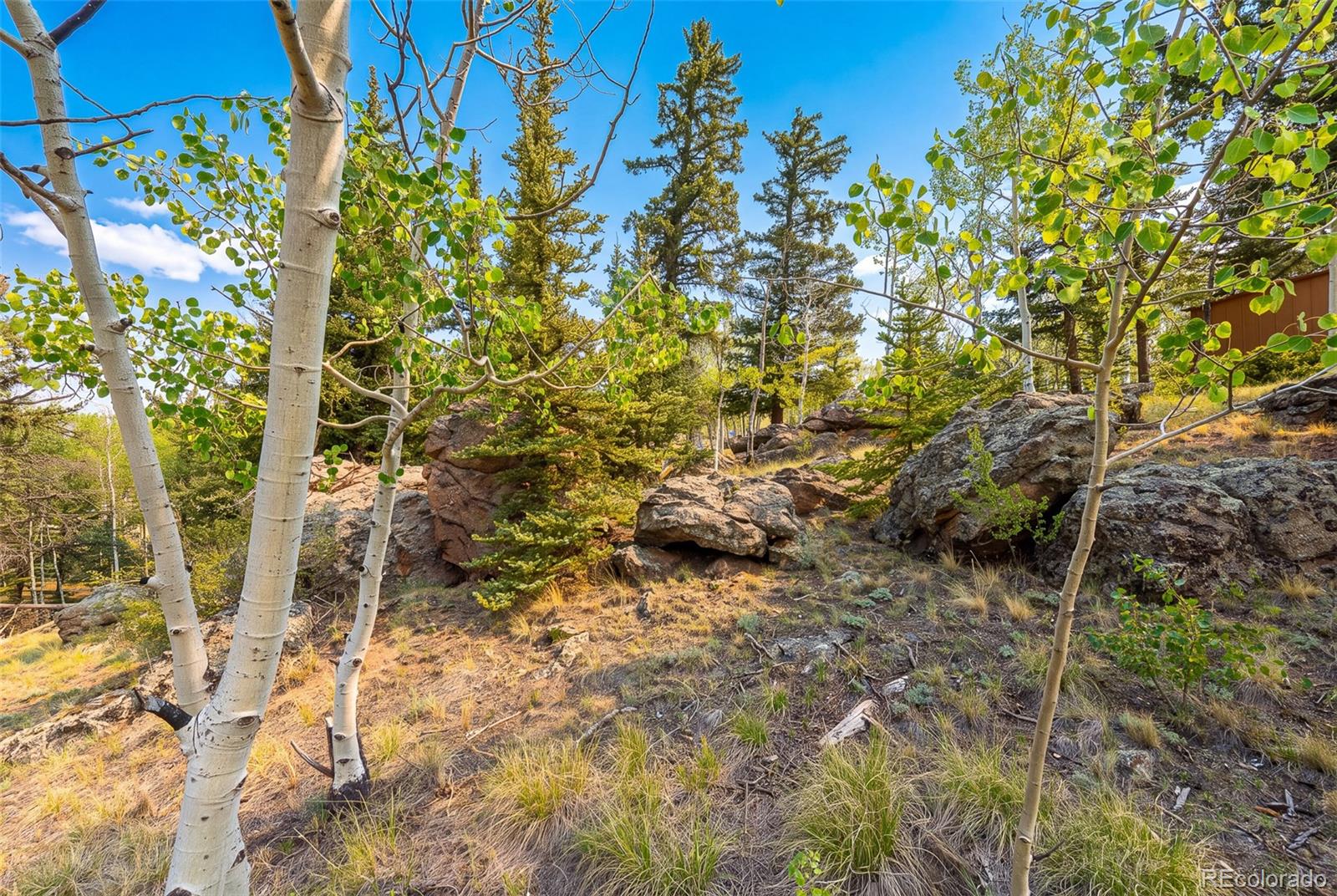 MLS Image #9 for 203  strongbox court,jefferson, Colorado