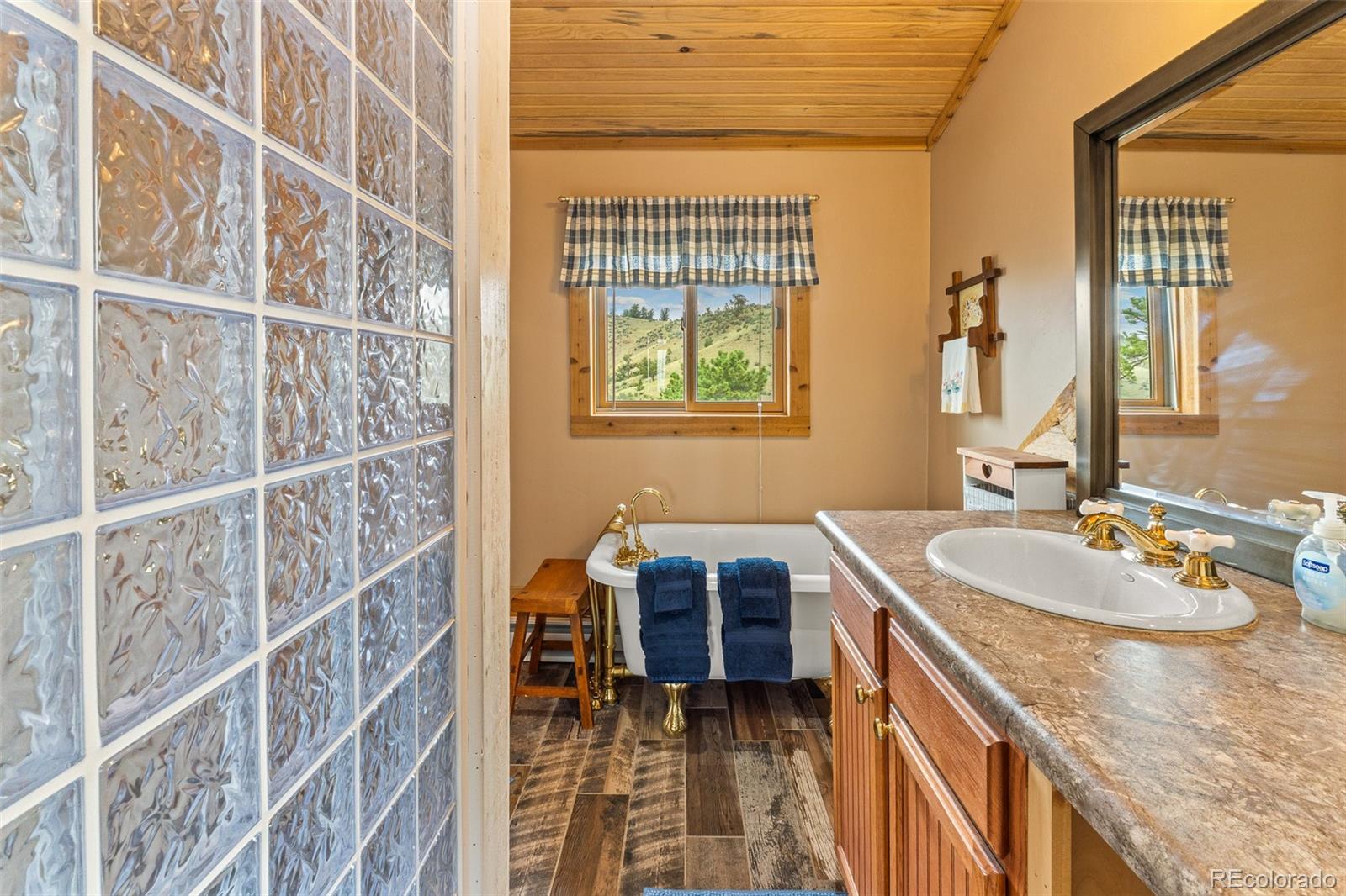 MLS Image #28 for 2999  clear creek road,hartsel, Colorado