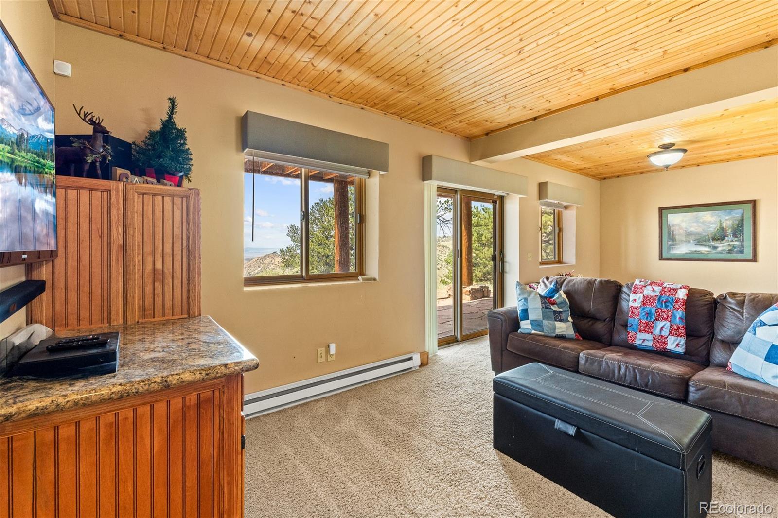 MLS Image #33 for 2999  clear creek road,hartsel, Colorado