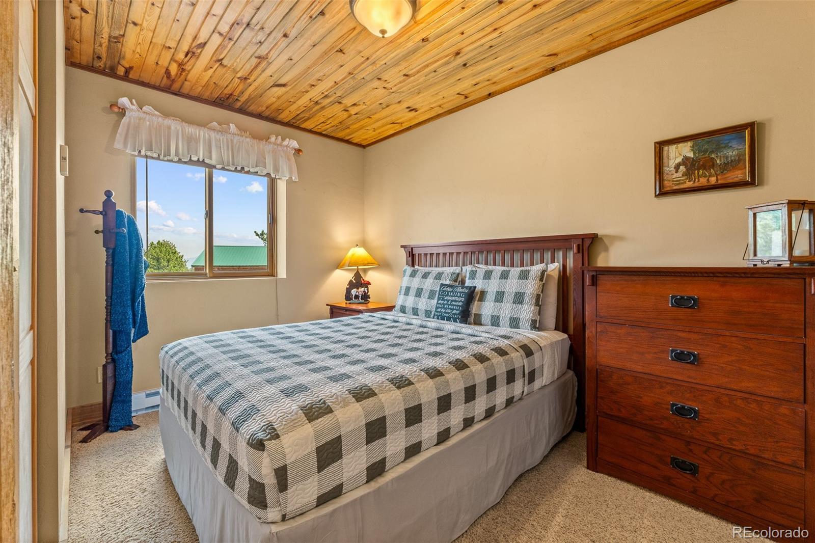 MLS Image #38 for 2999  clear creek road,hartsel, Colorado