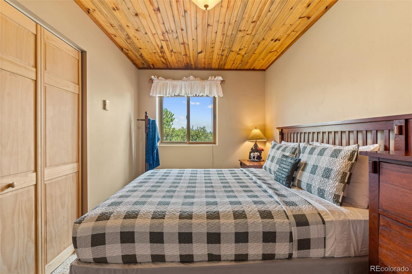 MLS Image #39 for 2999  clear creek road,hartsel, Colorado