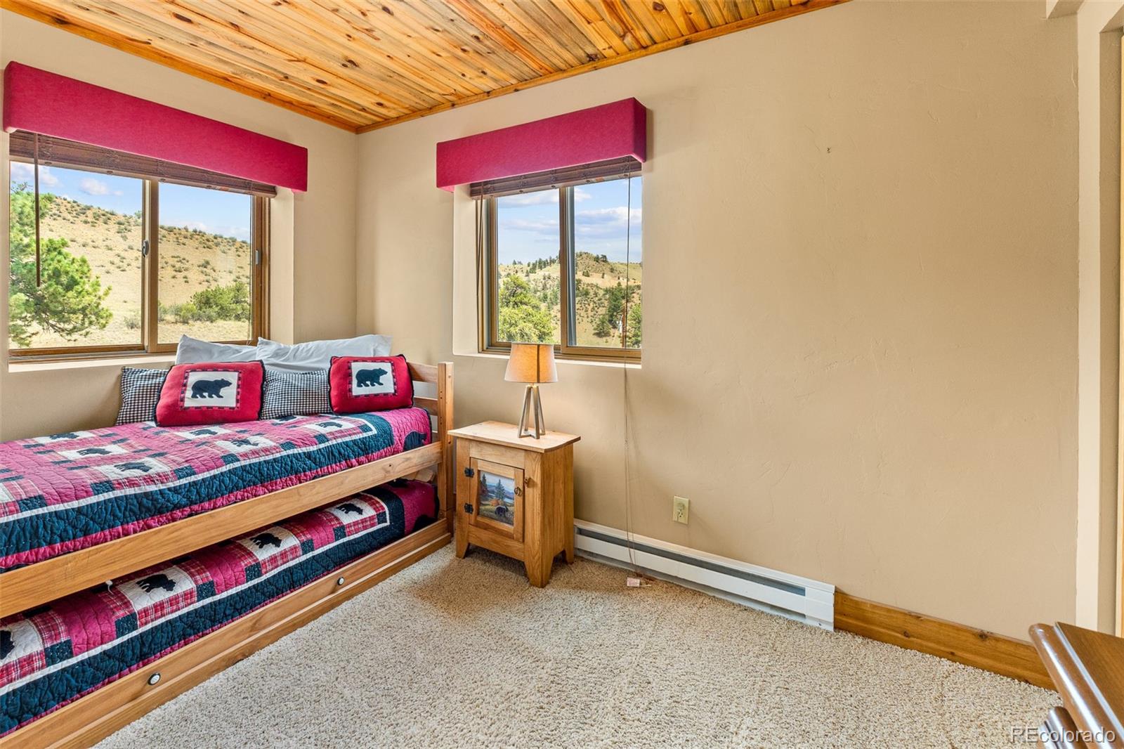 MLS Image #40 for 2999  clear creek road,hartsel, Colorado