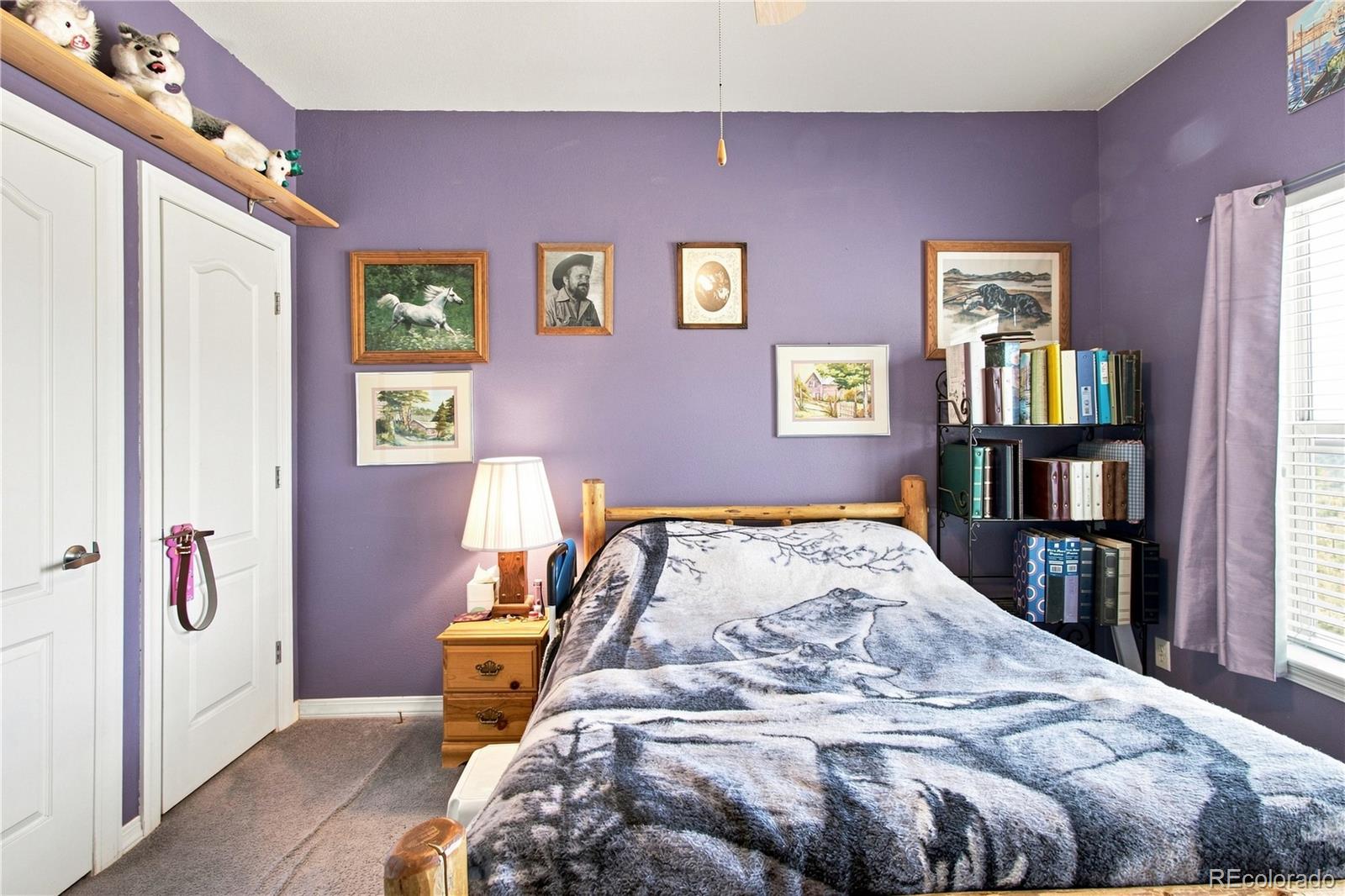 MLS Image #20 for 2469  carlson road,rye, Colorado