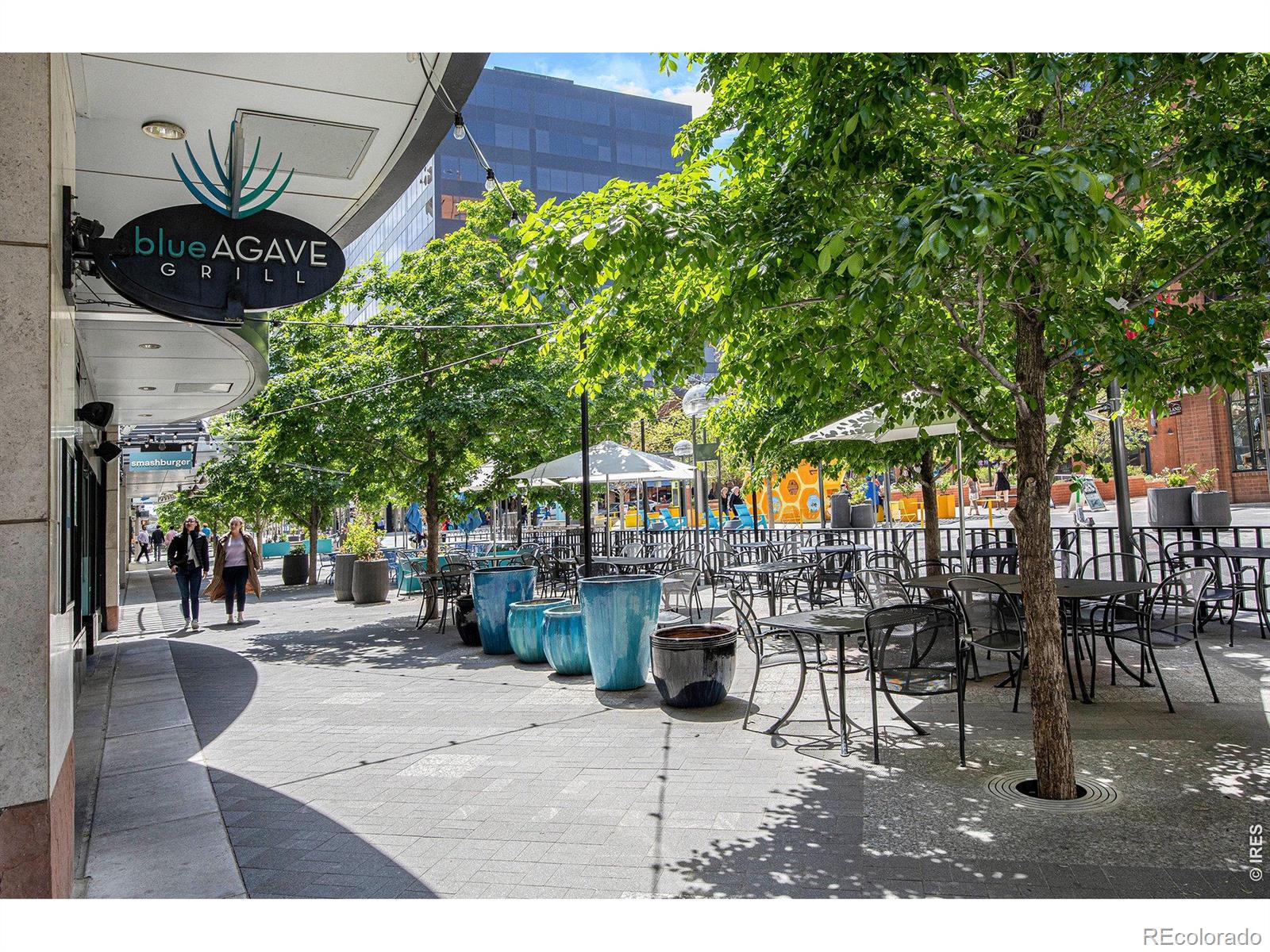 MLS Image #15 for 1625  larimer street,denver, Colorado