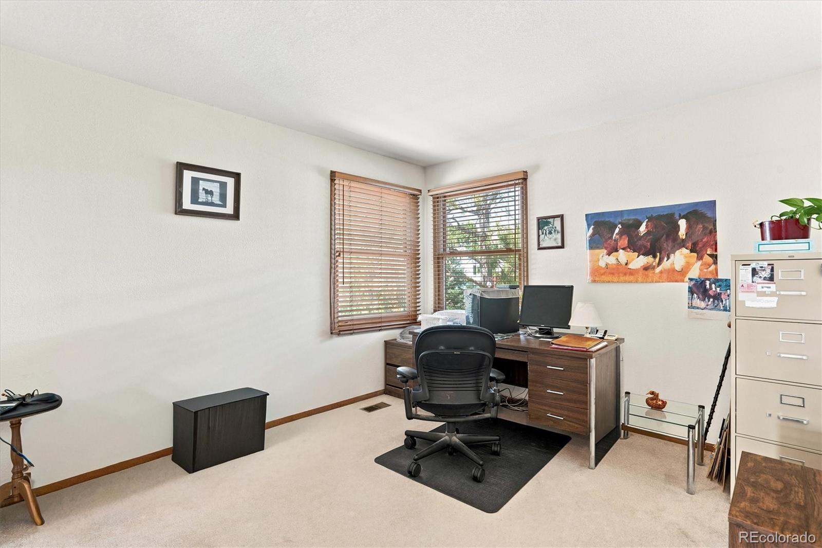 MLS Image #17 for 9877  falcon creek drive,highlands ranch, Colorado