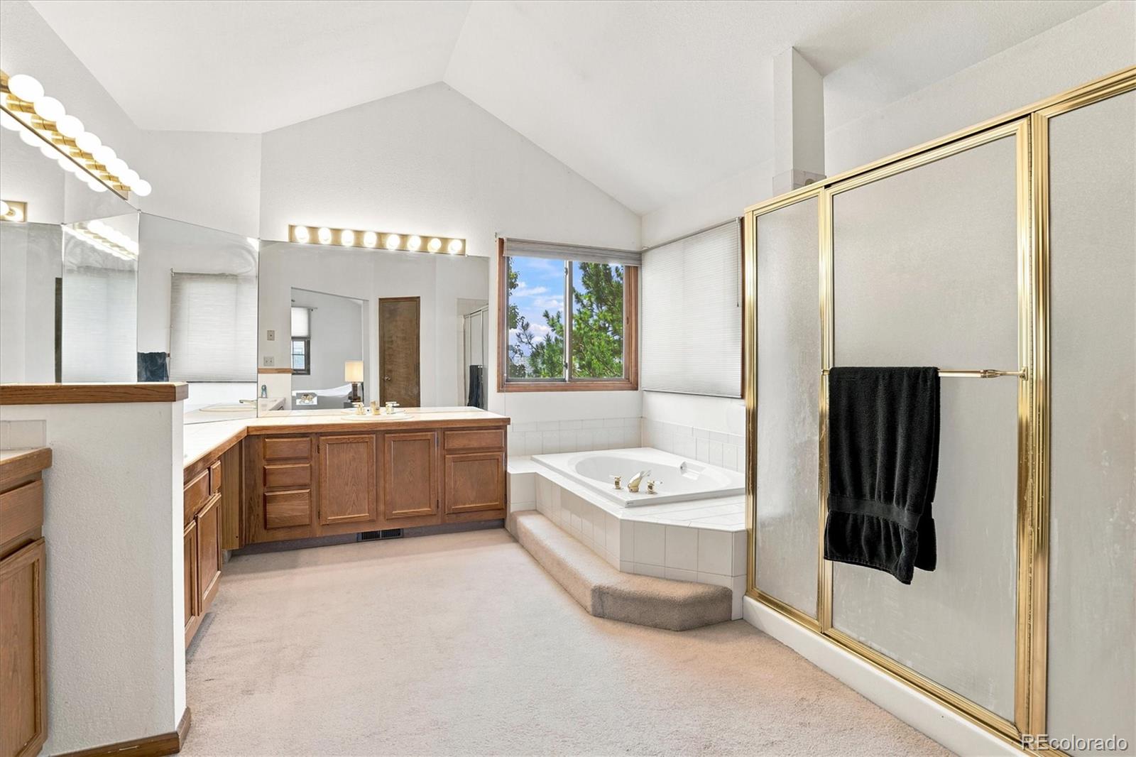 MLS Image #26 for 9877  falcon creek drive,highlands ranch, Colorado