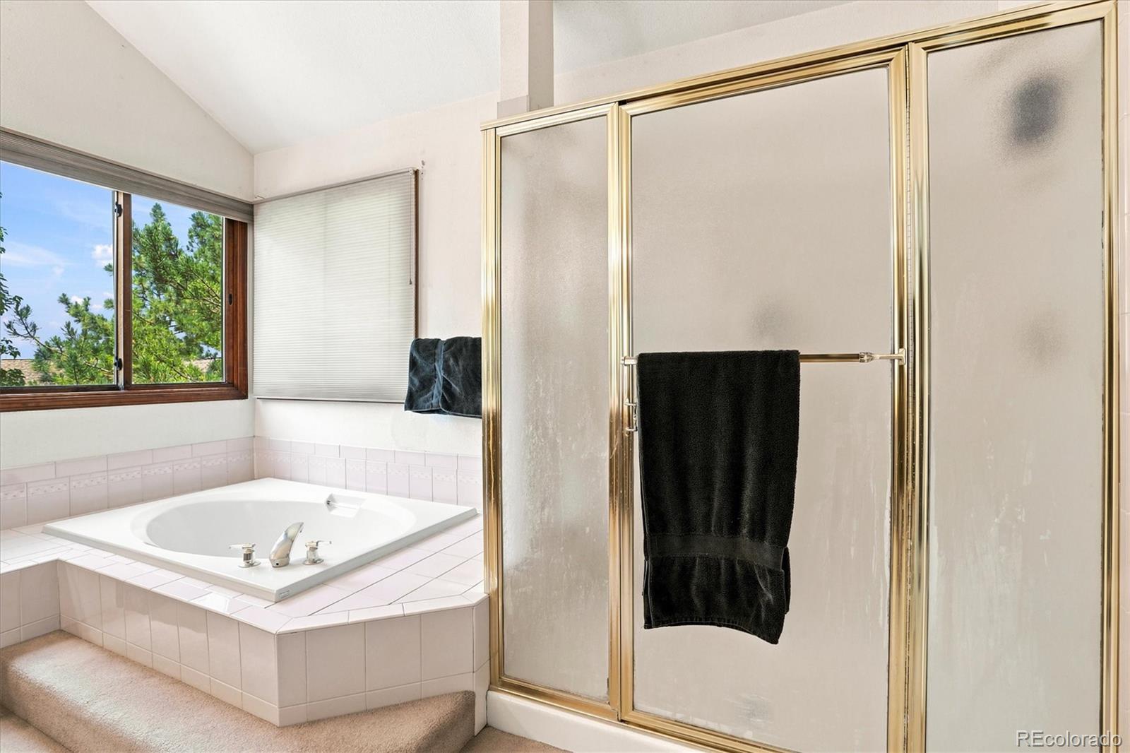 MLS Image #27 for 9877  falcon creek drive,highlands ranch, Colorado