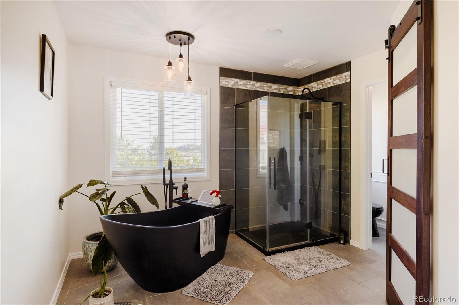 MLS Image #14 for 6823  big horn trail,littleton, Colorado