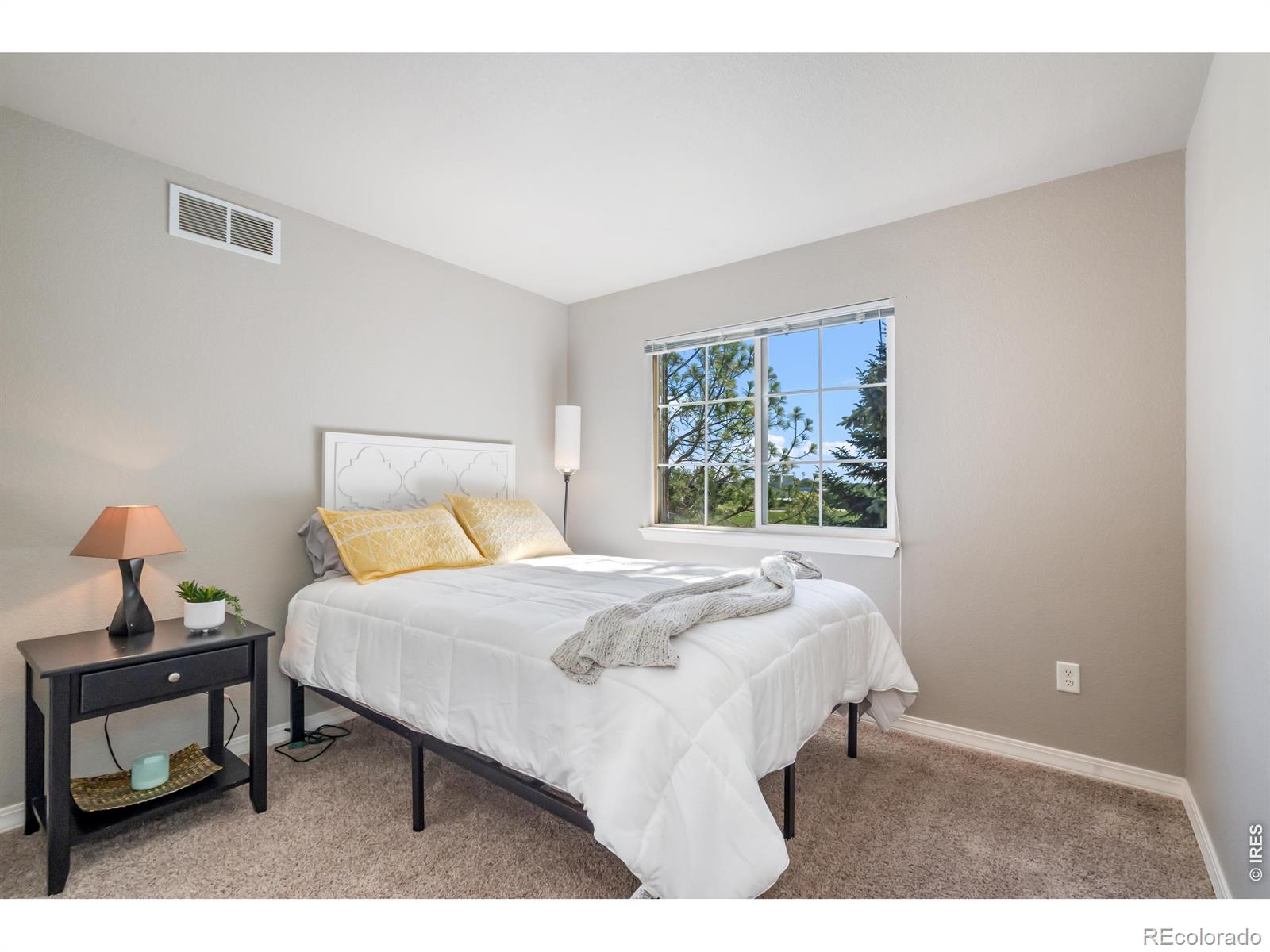 MLS Image #14 for 3051  sage creek road,fort collins, Colorado
