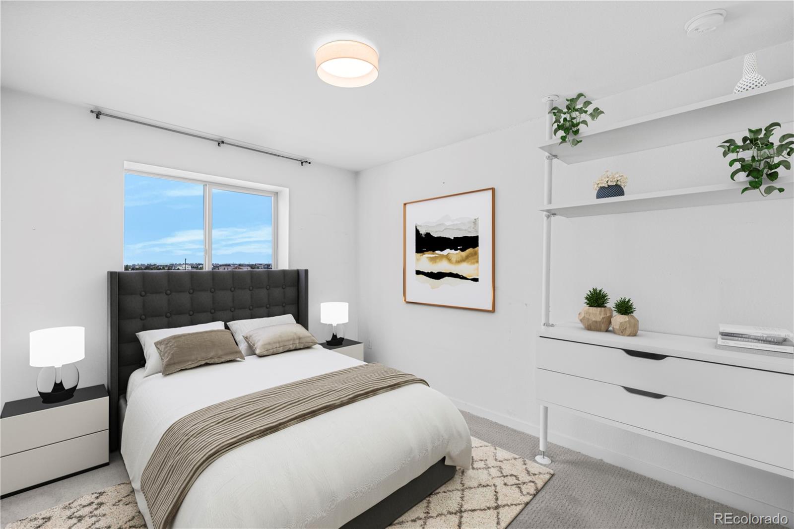 MLS Image #13 for 9811 e 56th place,denver, Colorado