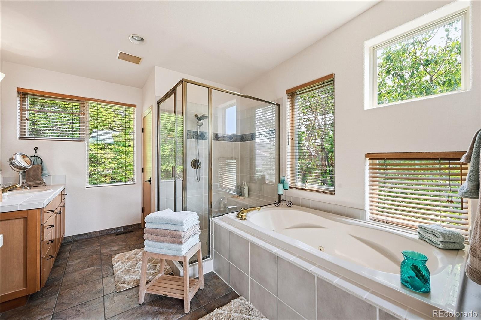 MLS Image #19 for 10606  brown fox trail,littleton, Colorado