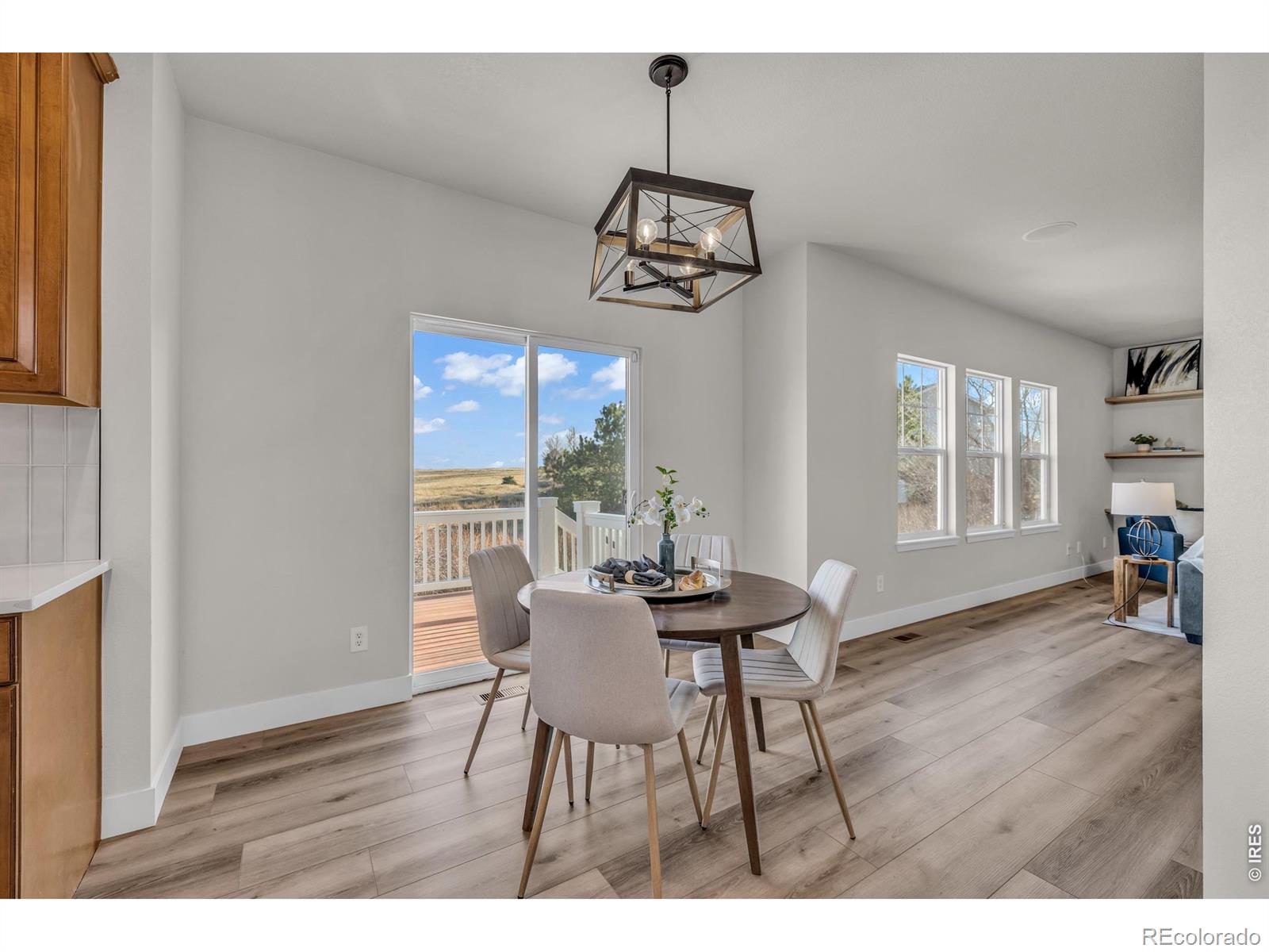 MLS Image #12 for 858  dutton court,castle rock, Colorado