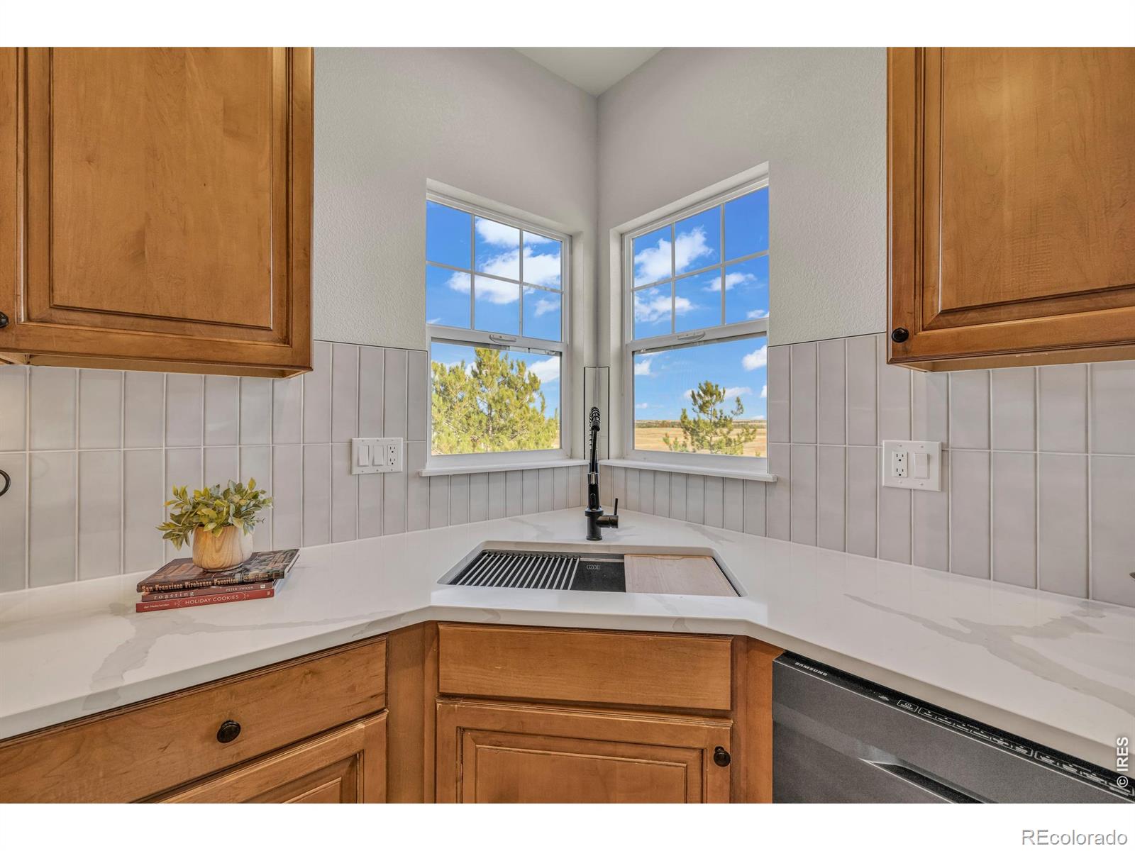 MLS Image #15 for 858  dutton court,castle rock, Colorado