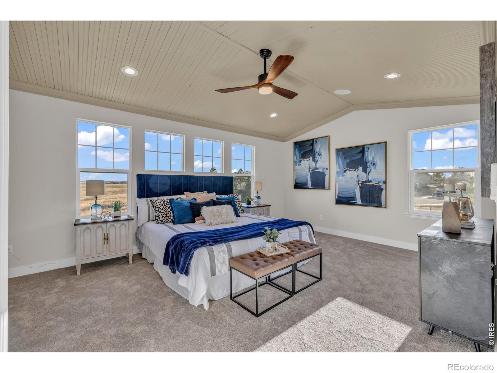 MLS Image #17 for 858  dutton court,castle rock, Colorado