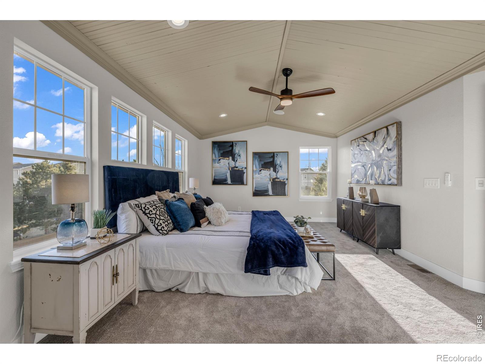 MLS Image #18 for 858  dutton court,castle rock, Colorado