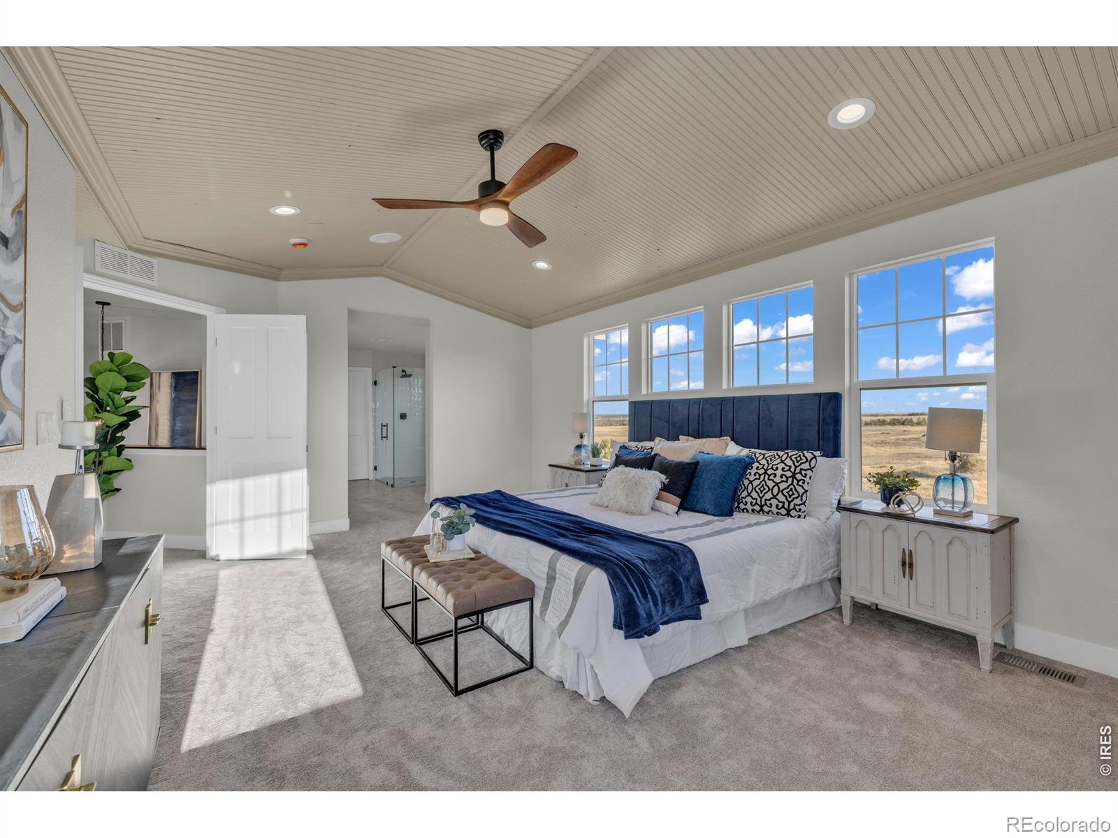 MLS Image #19 for 858  dutton court,castle rock, Colorado