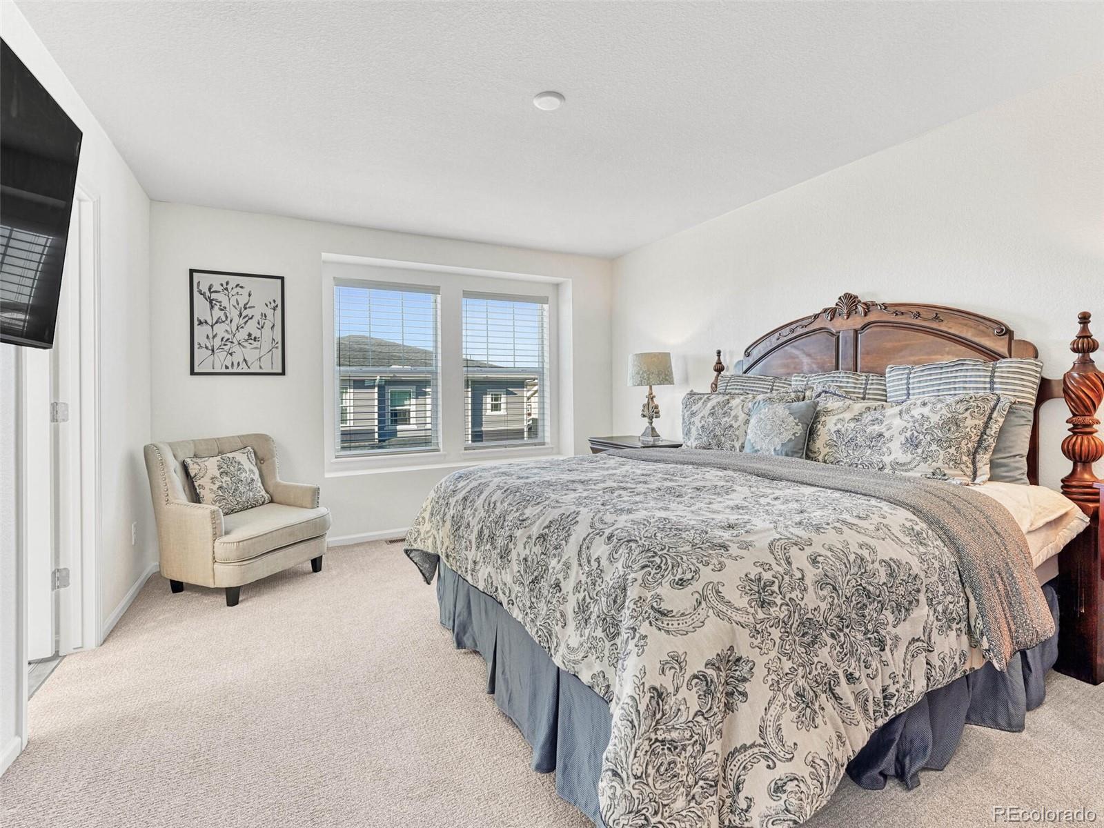 MLS Image #13 for 14237  hop clover trail,parker, Colorado