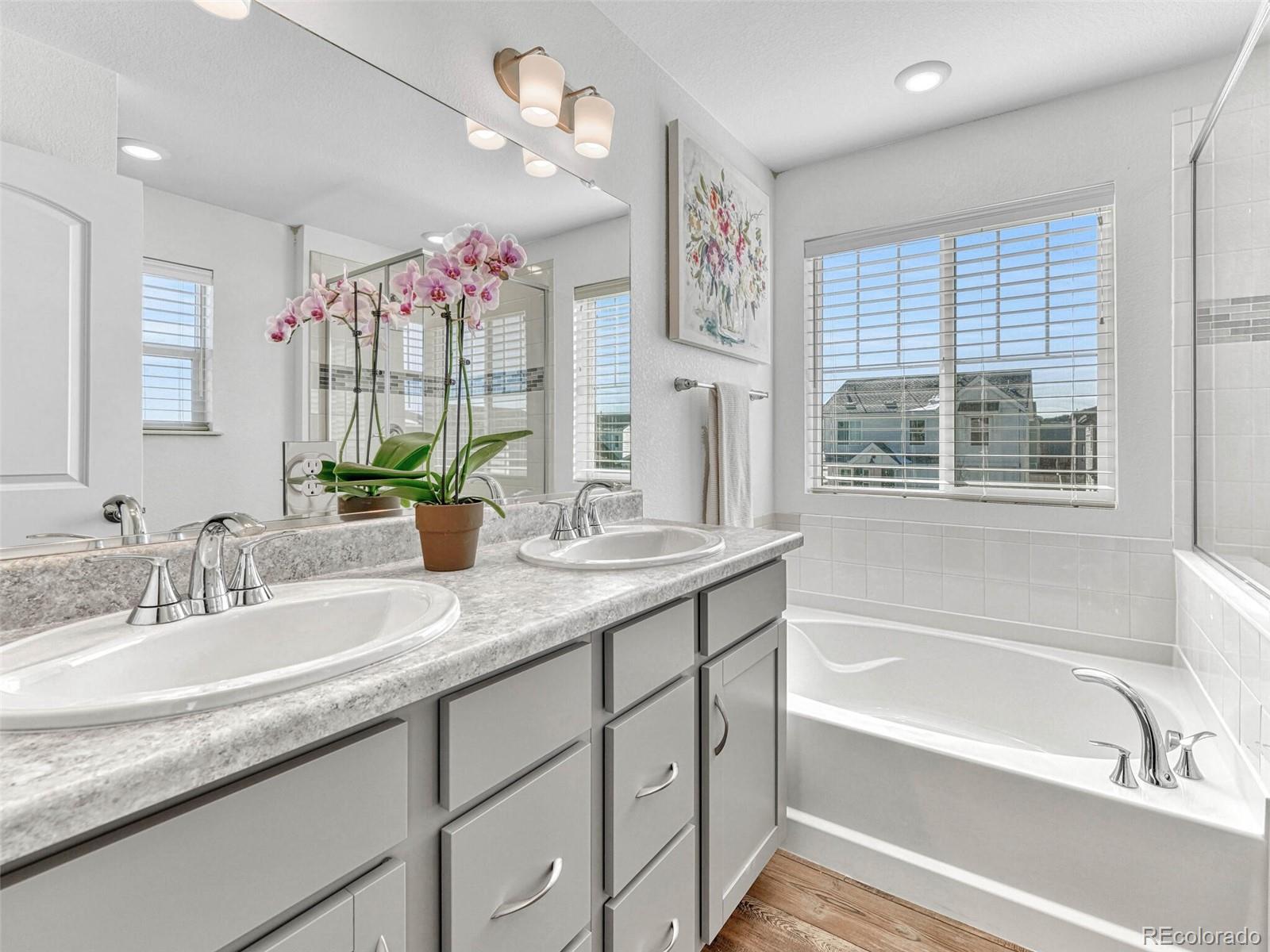 MLS Image #14 for 14237  hop clover trail,parker, Colorado