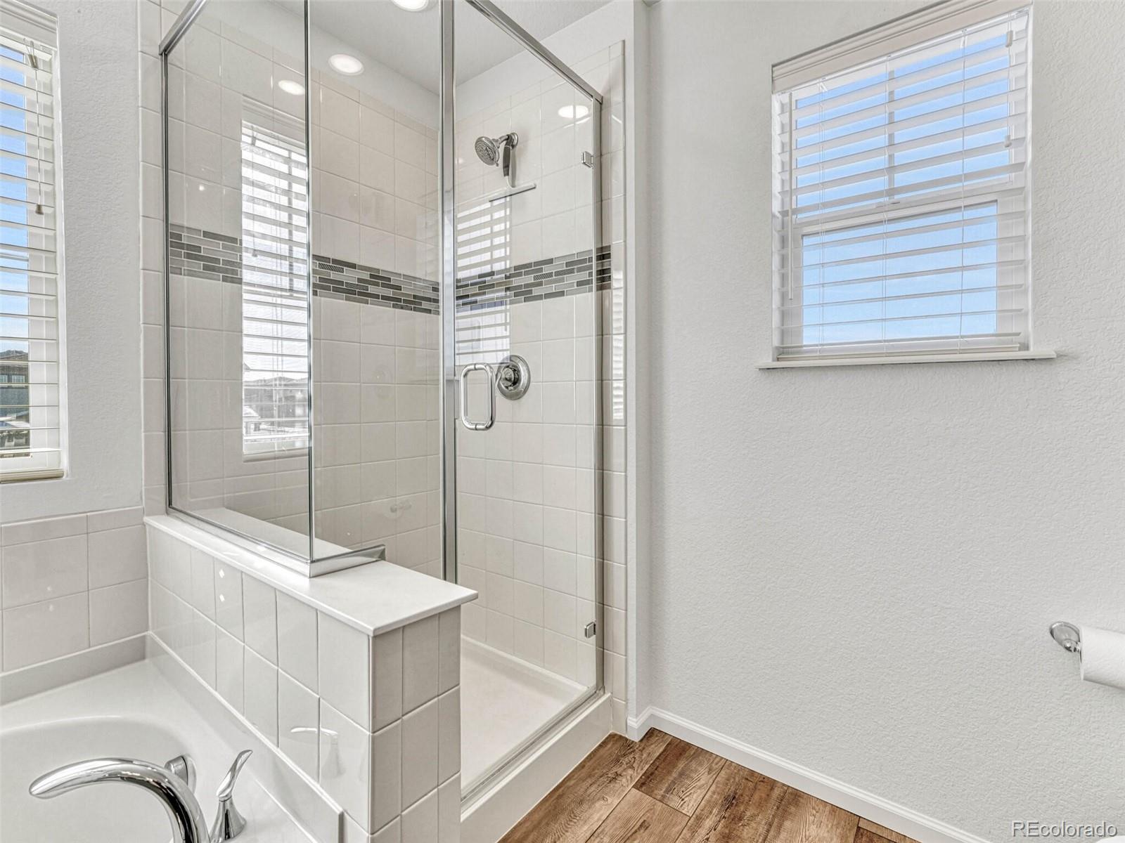 MLS Image #15 for 14237  hop clover trail,parker, Colorado