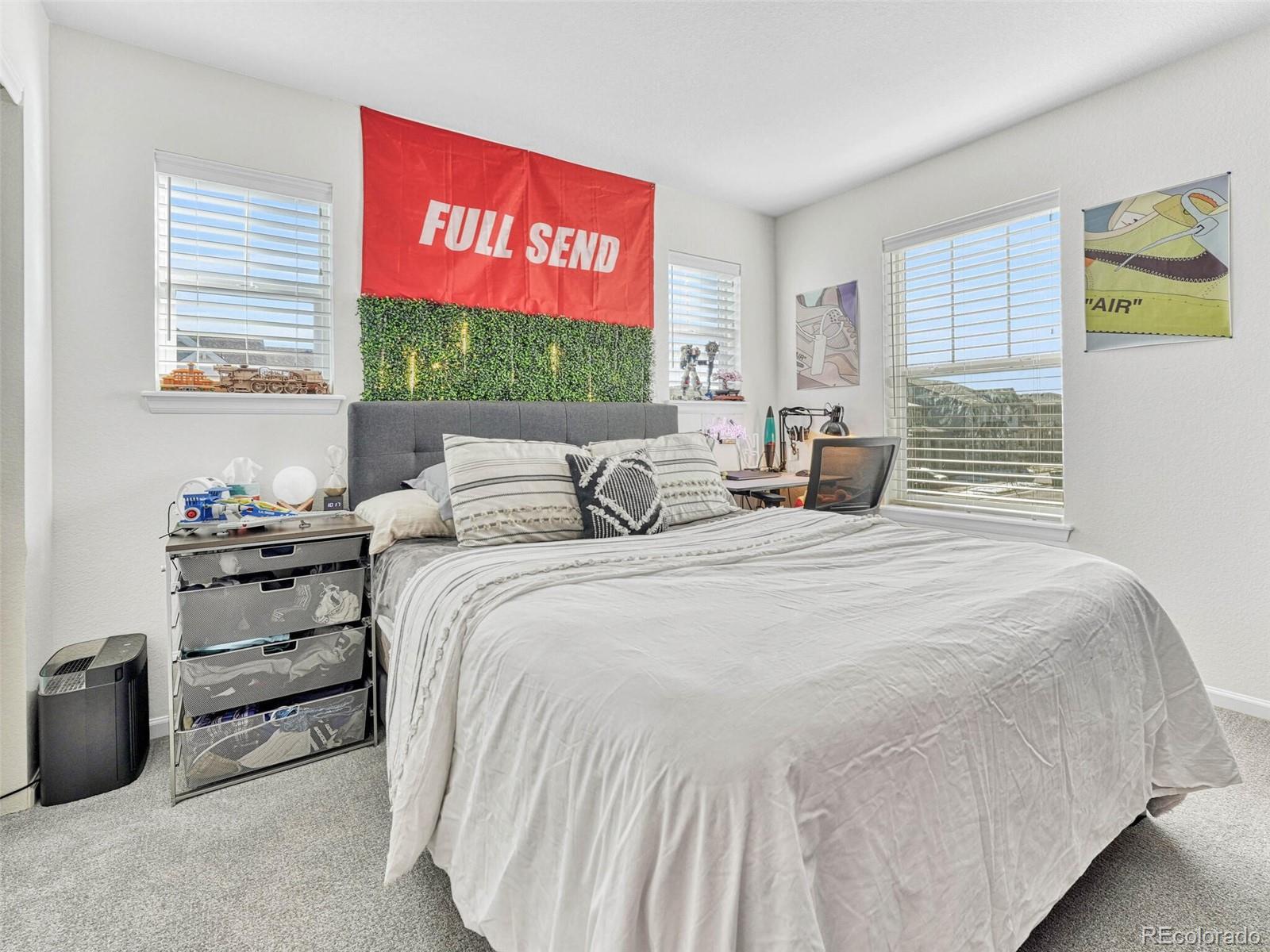 MLS Image #16 for 14237  hop clover trail,parker, Colorado