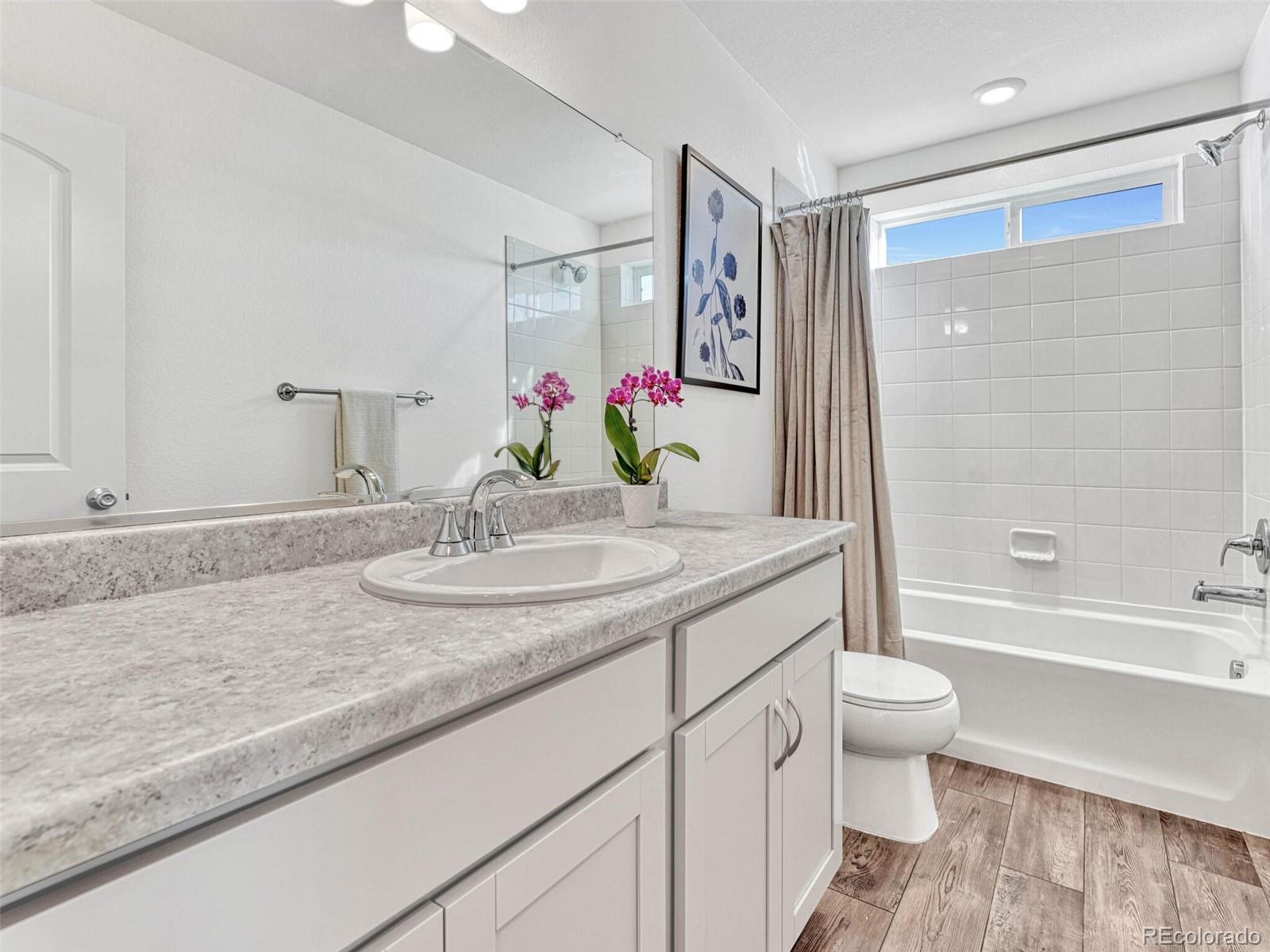 MLS Image #17 for 14237  hop clover trail,parker, Colorado