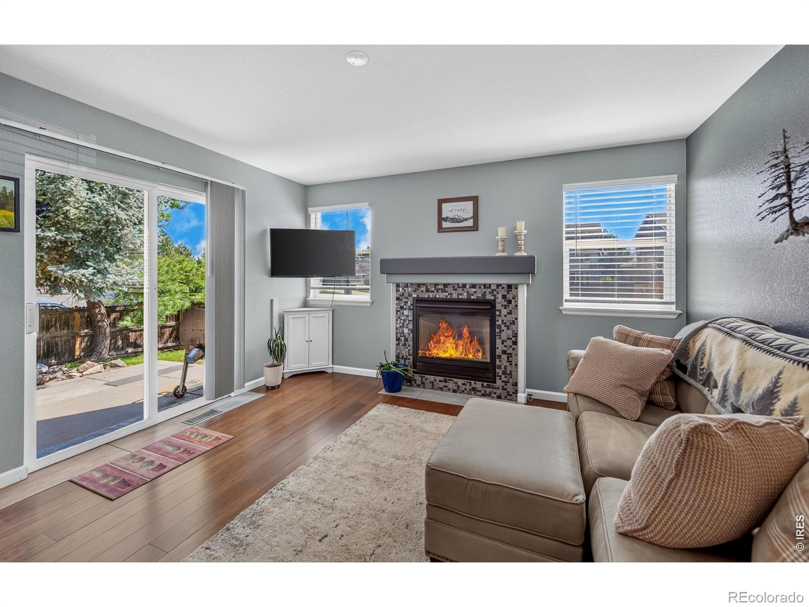 MLS Image #10 for 2800  elaine drive,broomfield, Colorado