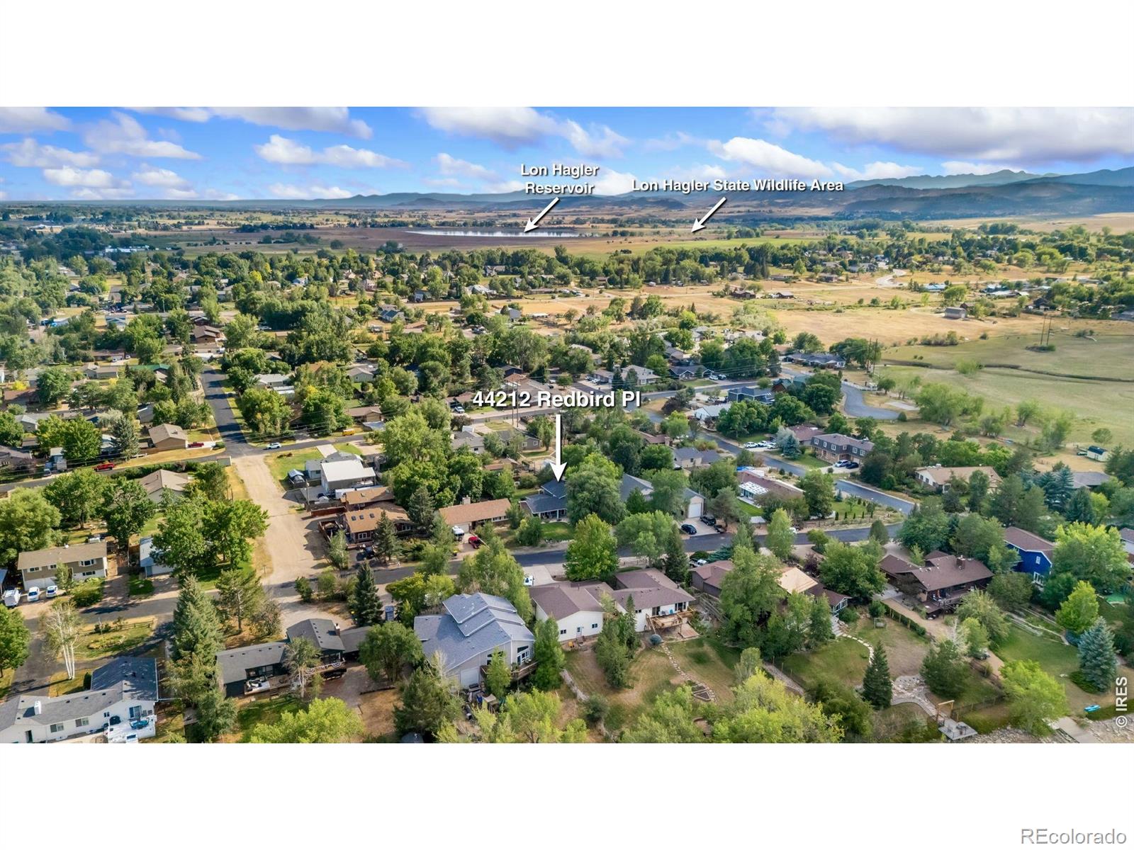 MLS Image #49 for 4212  red bird place,loveland, Colorado