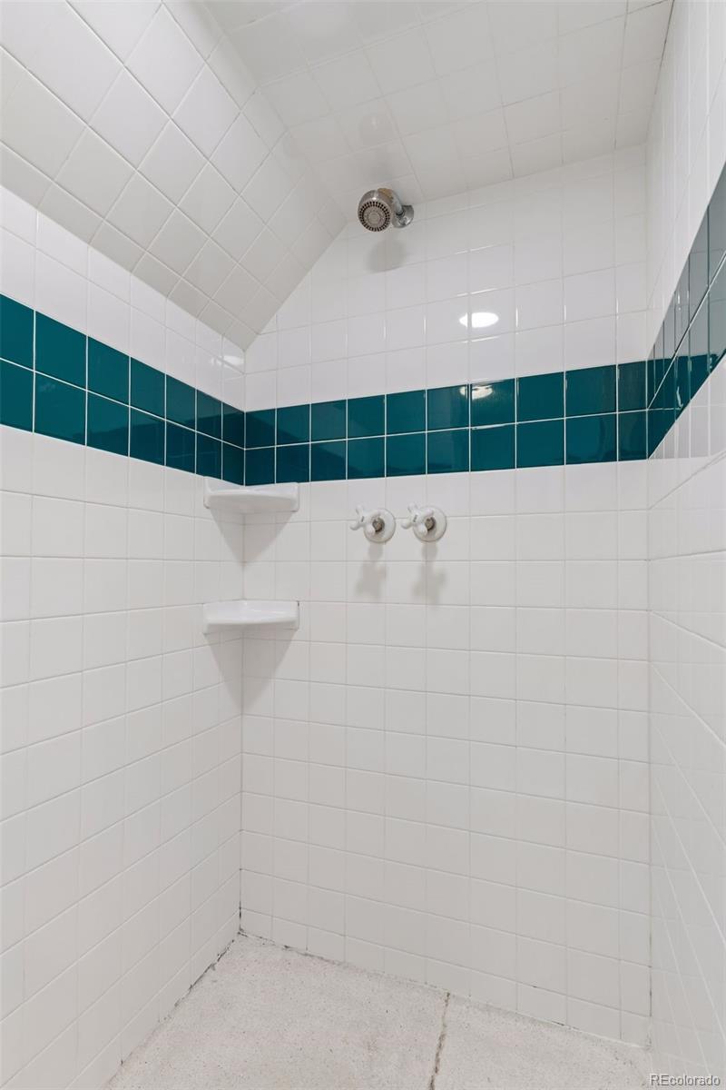 MLS Image #31 for 665  milwaukee street,denver, Colorado