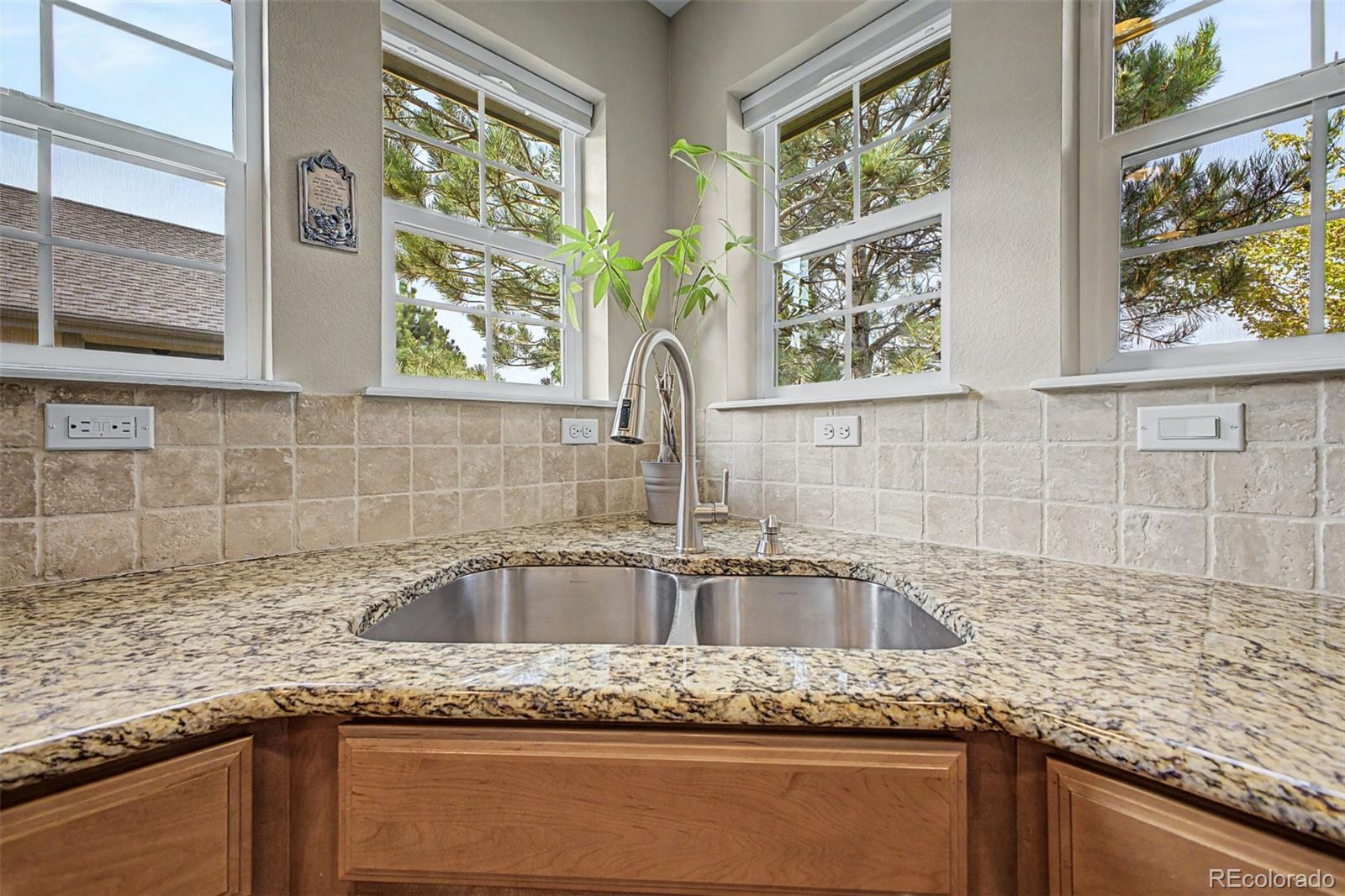 MLS Image #16 for 15027  xenia street,thornton, Colorado