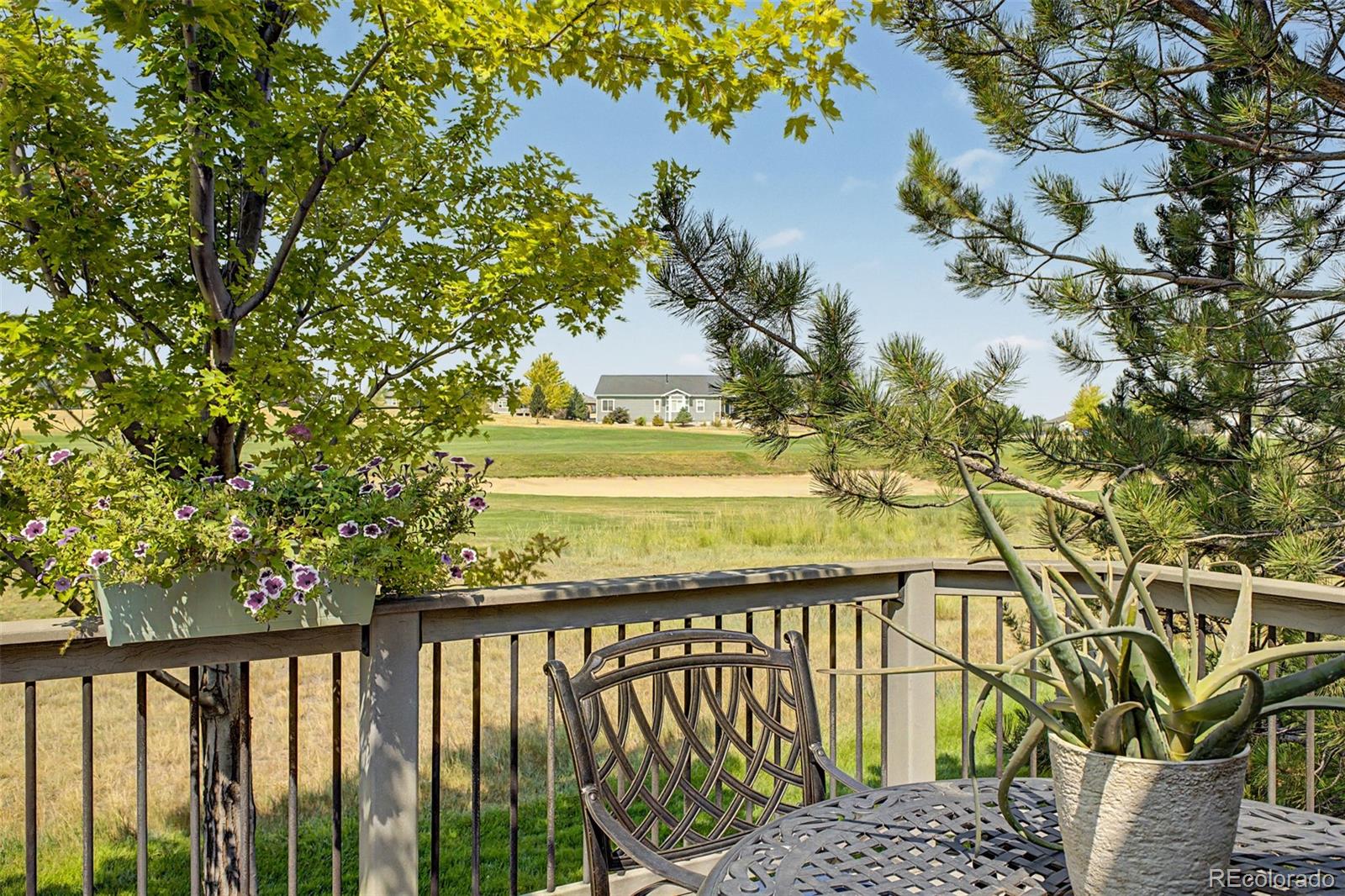 MLS Image #44 for 15027  xenia street,thornton, Colorado