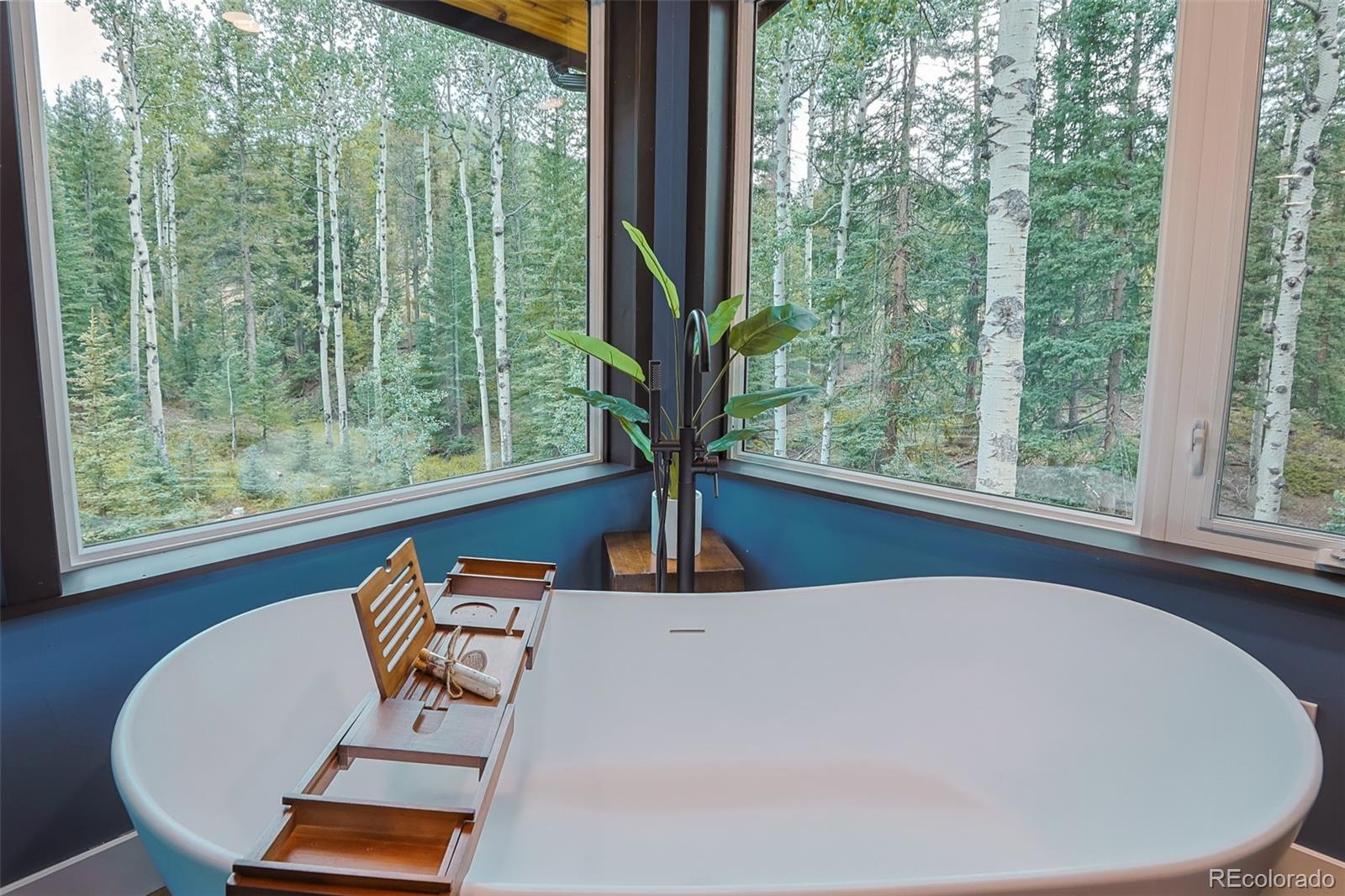 MLS Image #21 for 11203 s barney gulch road,conifer, Colorado