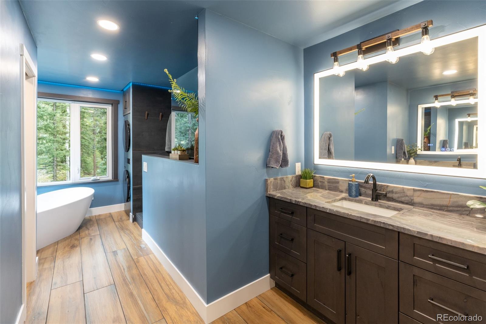 MLS Image #22 for 11203 s barney gulch road,conifer, Colorado