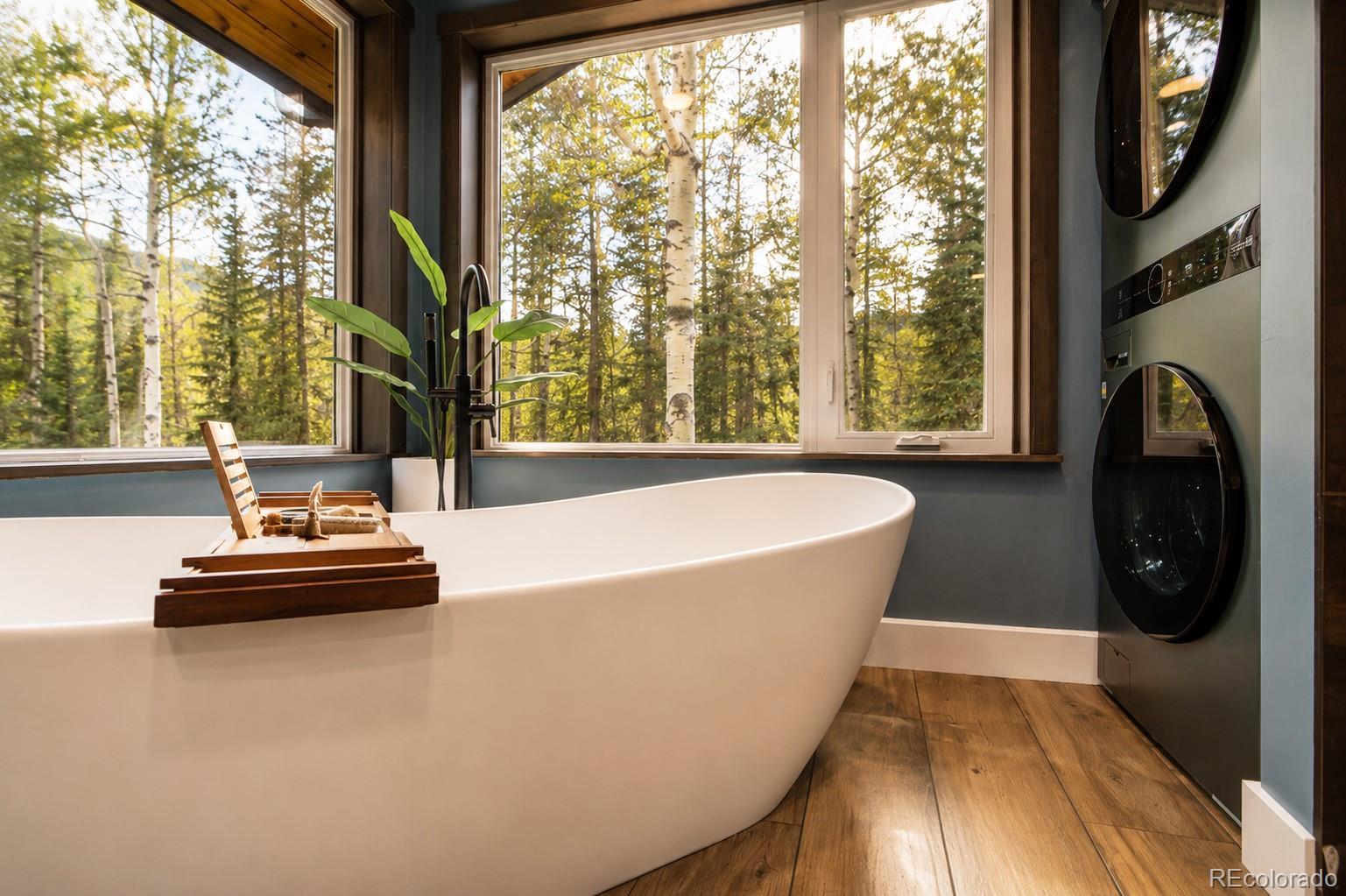 MLS Image #26 for 11203 s barney gulch road,conifer, Colorado