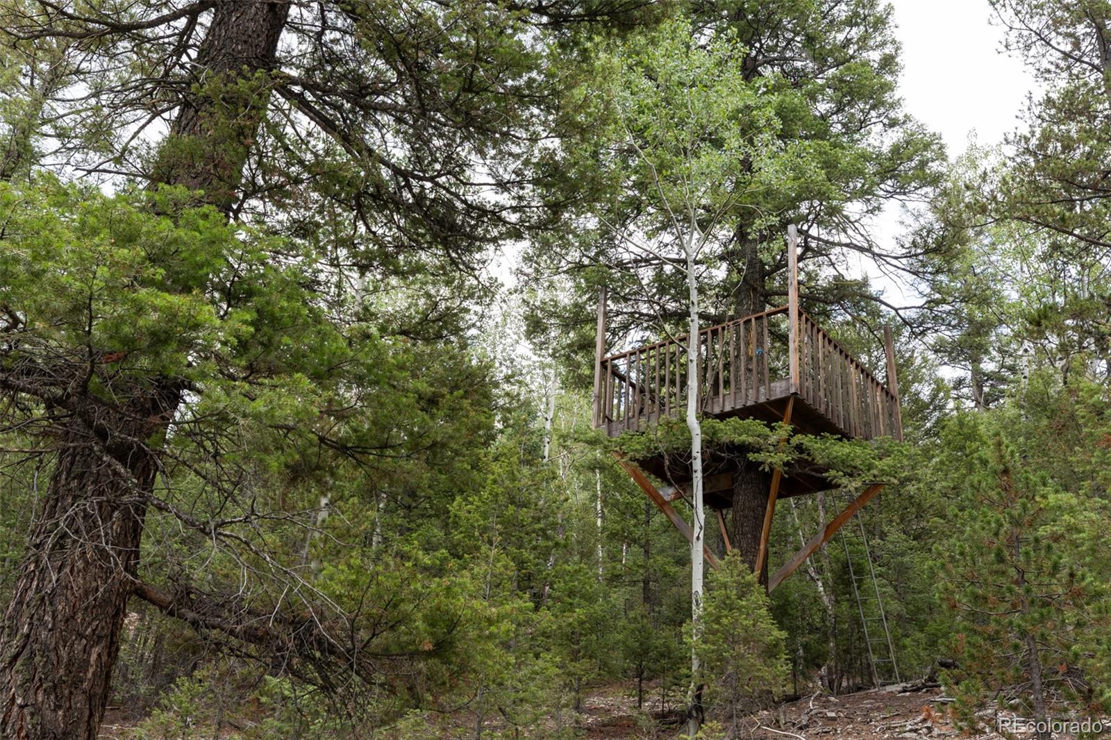 MLS Image #35 for 11203 s barney gulch road,conifer, Colorado