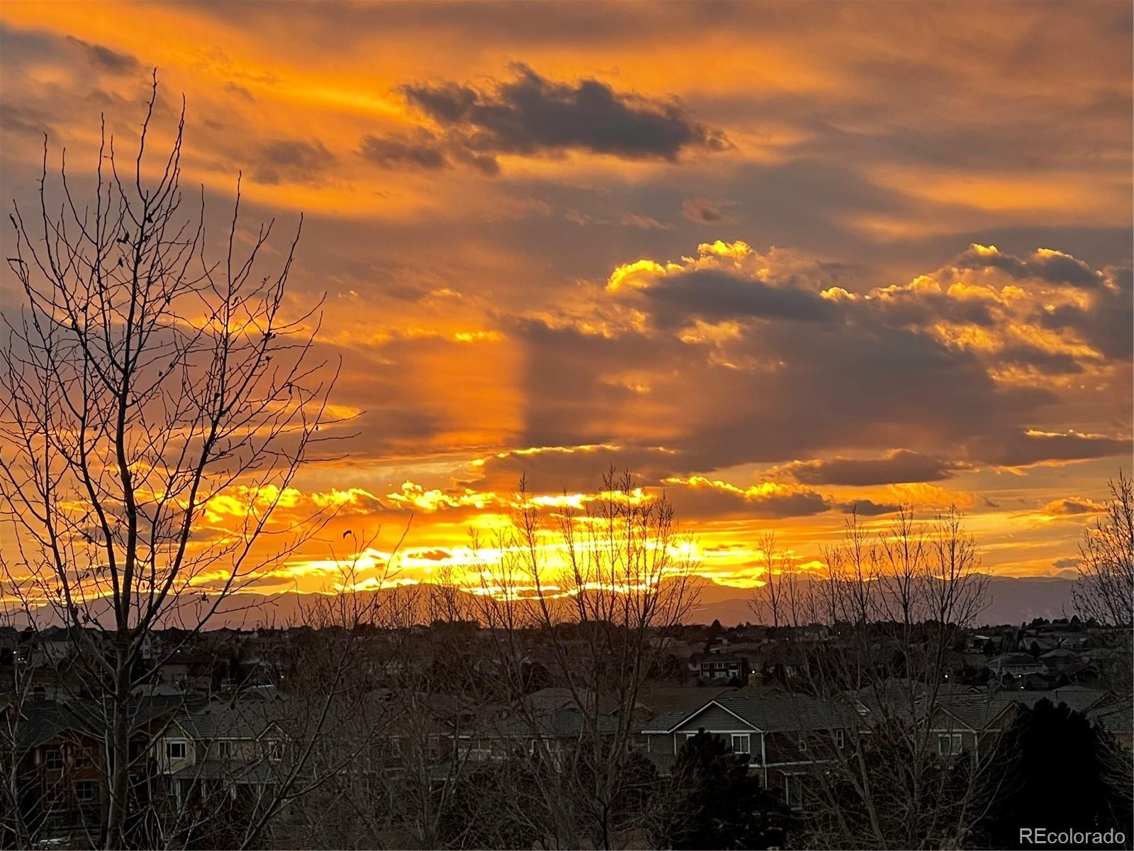 MLS Image #36 for 6959 s buchanan street,aurora, Colorado