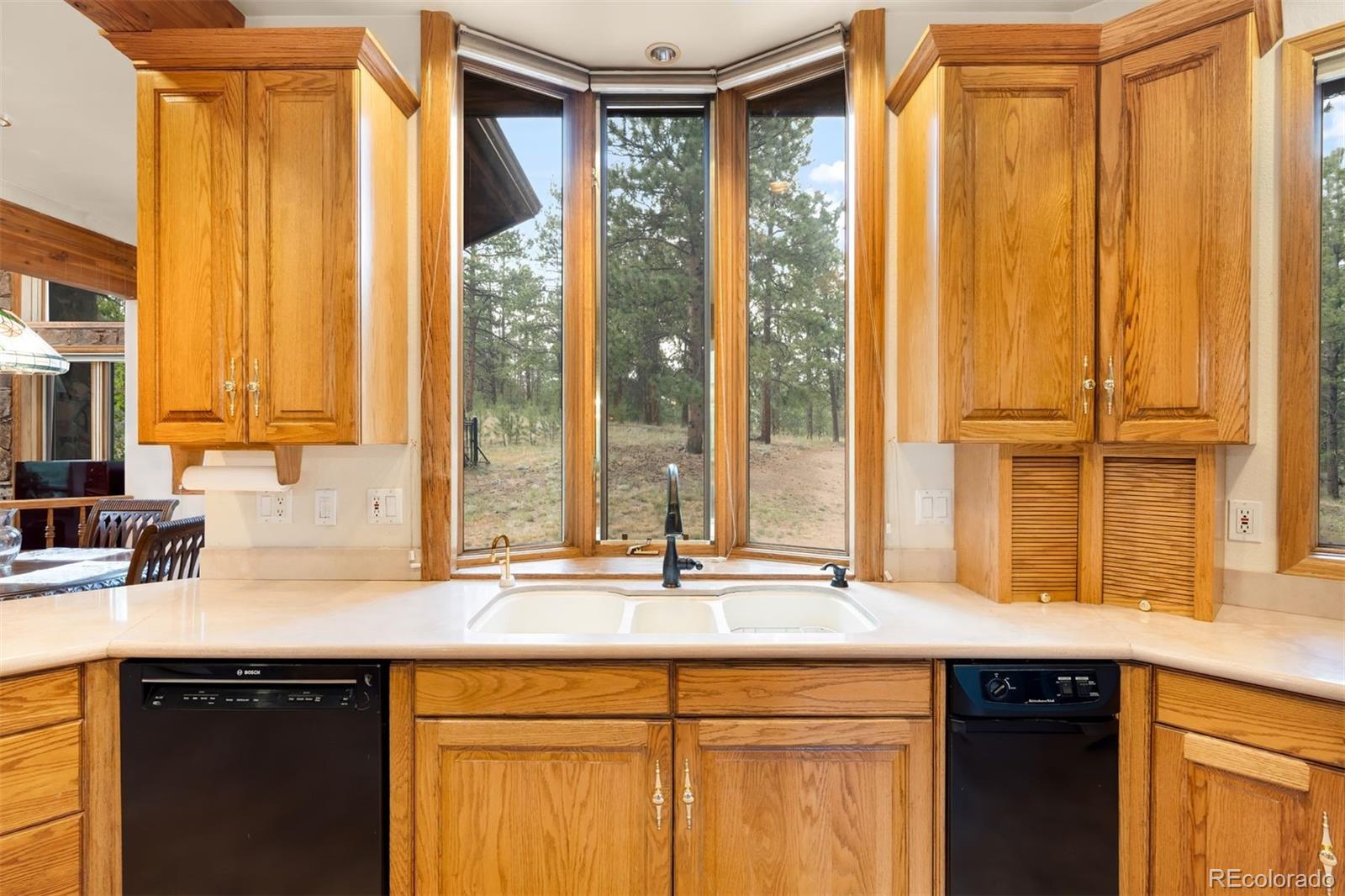 MLS Image #15 for 21206  spring creek road,buffalo creek, Colorado