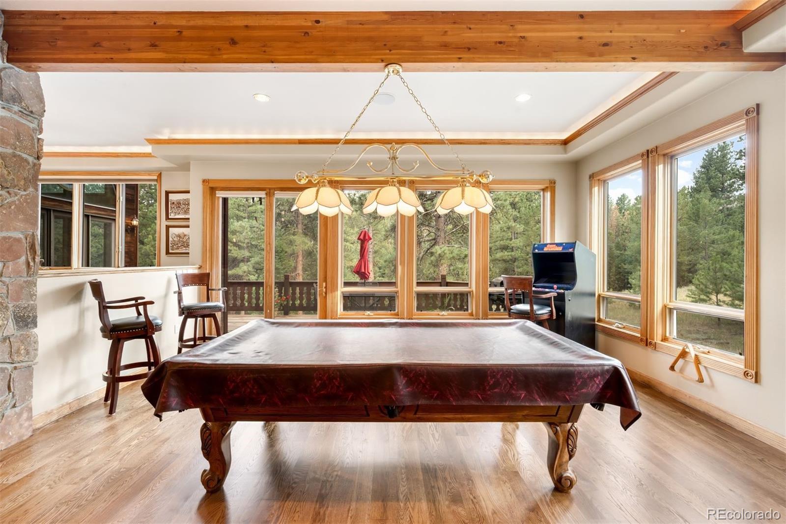 MLS Image #19 for 21206  spring creek road,buffalo creek, Colorado