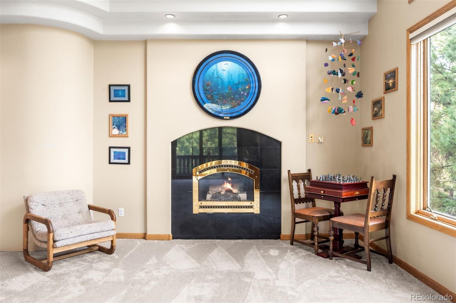 MLS Image #26 for 21206  spring creek road,buffalo creek, Colorado