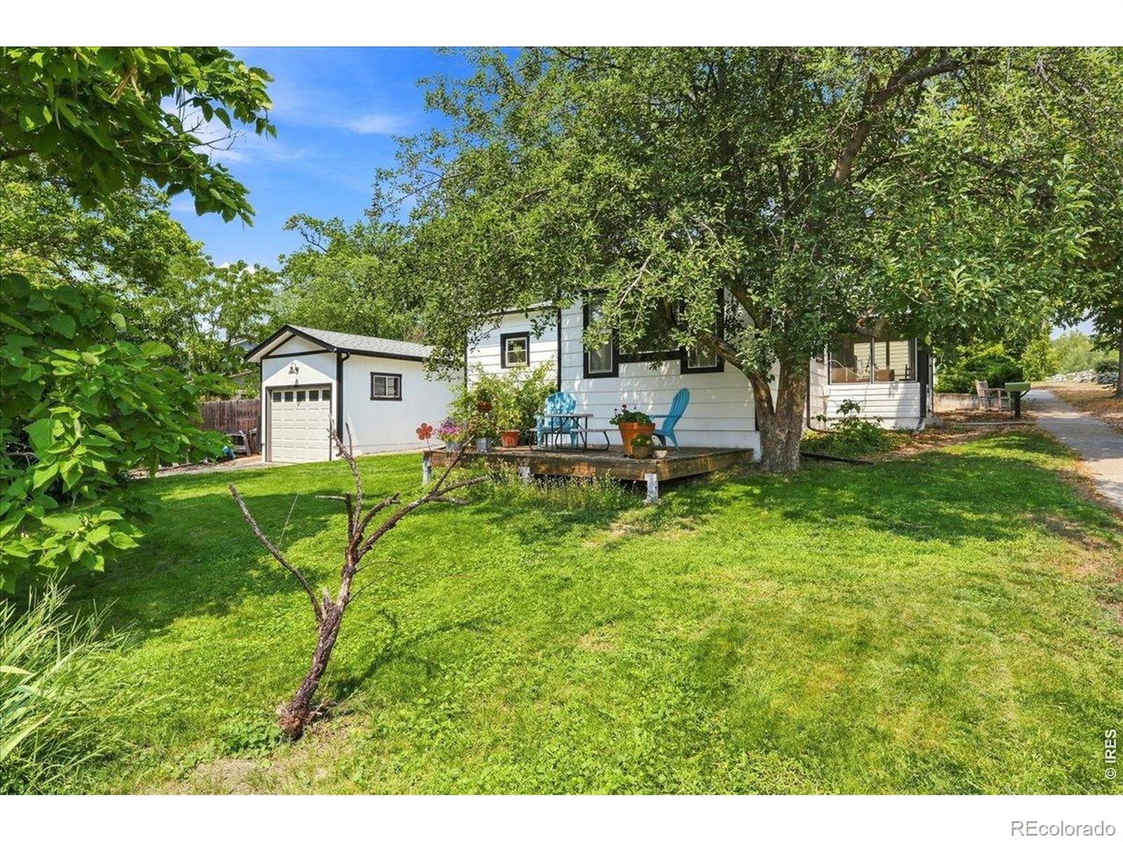 MLS Image #6 for 203  judson street,longmont, Colorado
