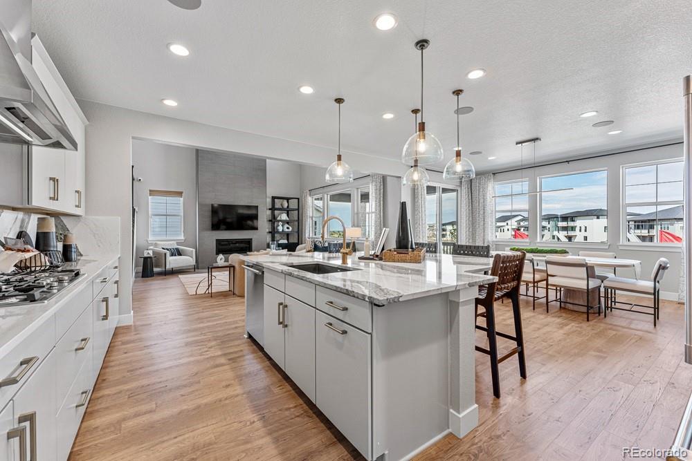 MLS Image #10 for 4153  headlamp court,castle rock, Colorado