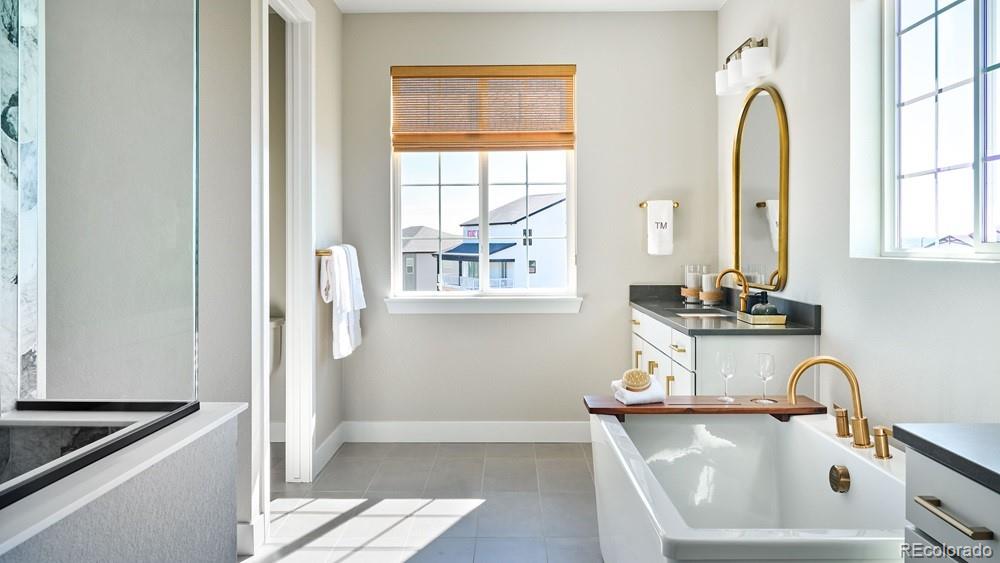 MLS Image #21 for 4153  headlamp court,castle rock, Colorado