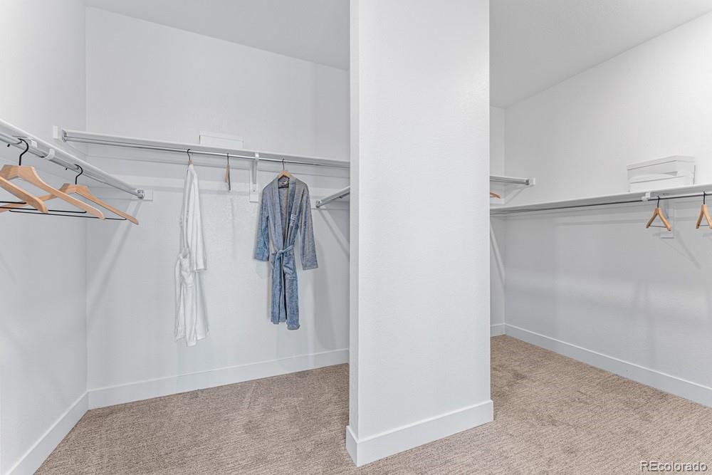 MLS Image #23 for 4153  headlamp court,castle rock, Colorado