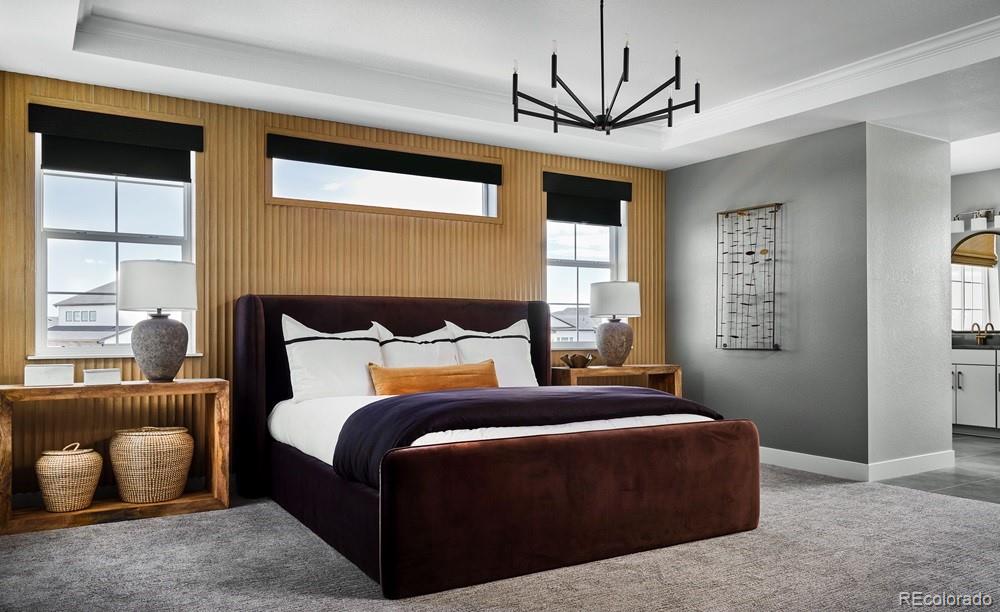 MLS Image #3 for 4153  headlamp court,castle rock, Colorado
