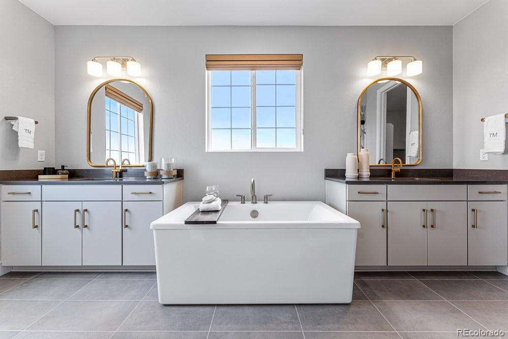 MLS Image #4 for 4153  headlamp court,castle rock, Colorado